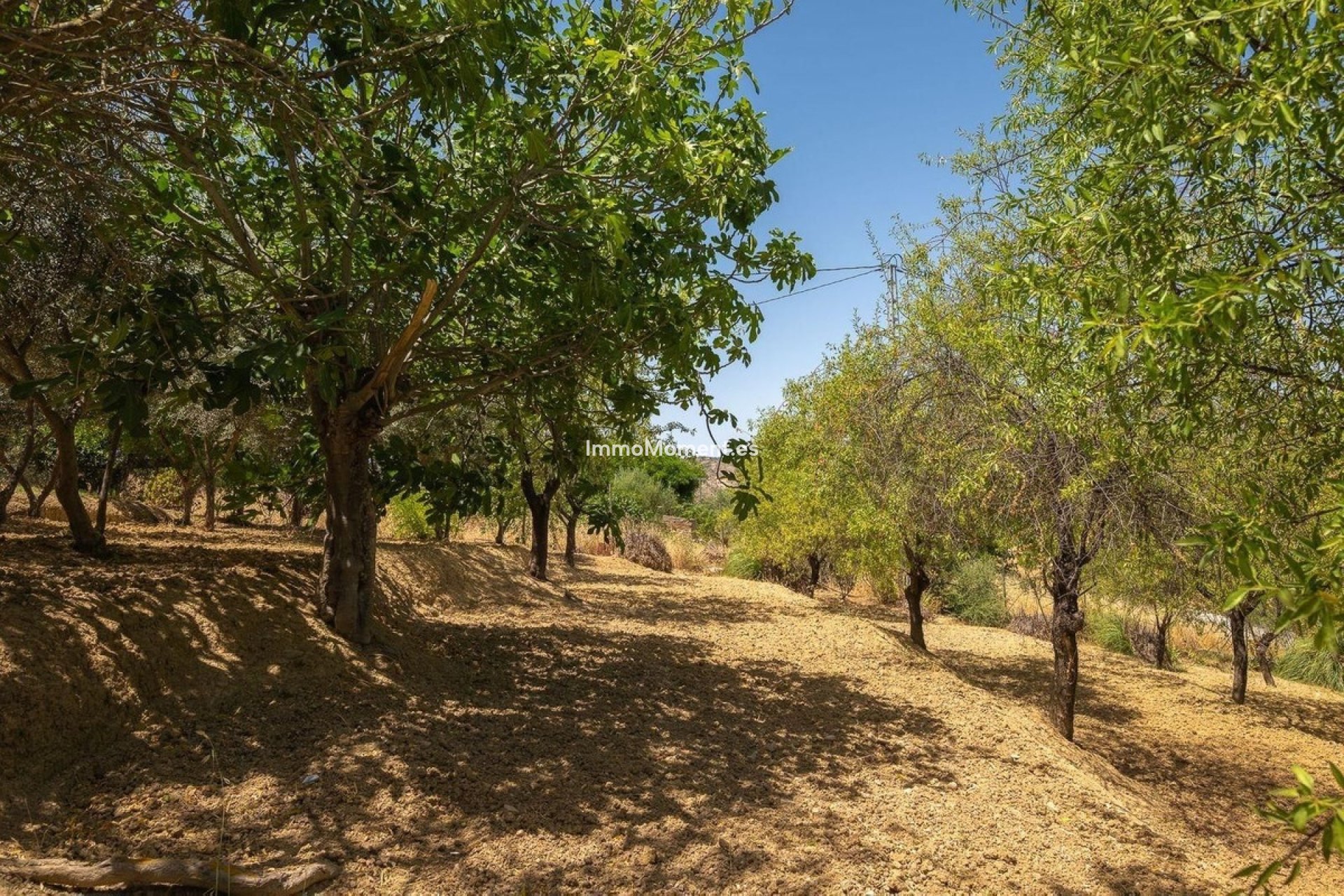 Resale - Detached villa - Inland  - Alhaurín el Grande Centro