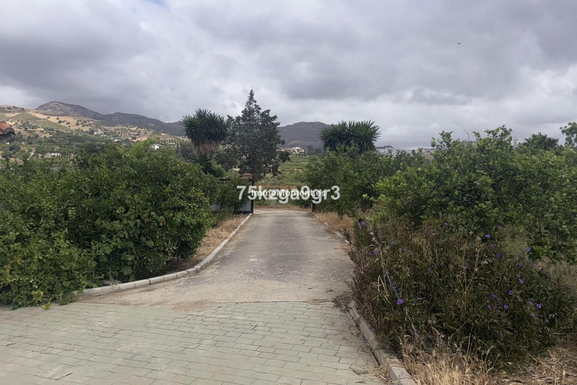 Resale - Detached villa - Inland  - Alora