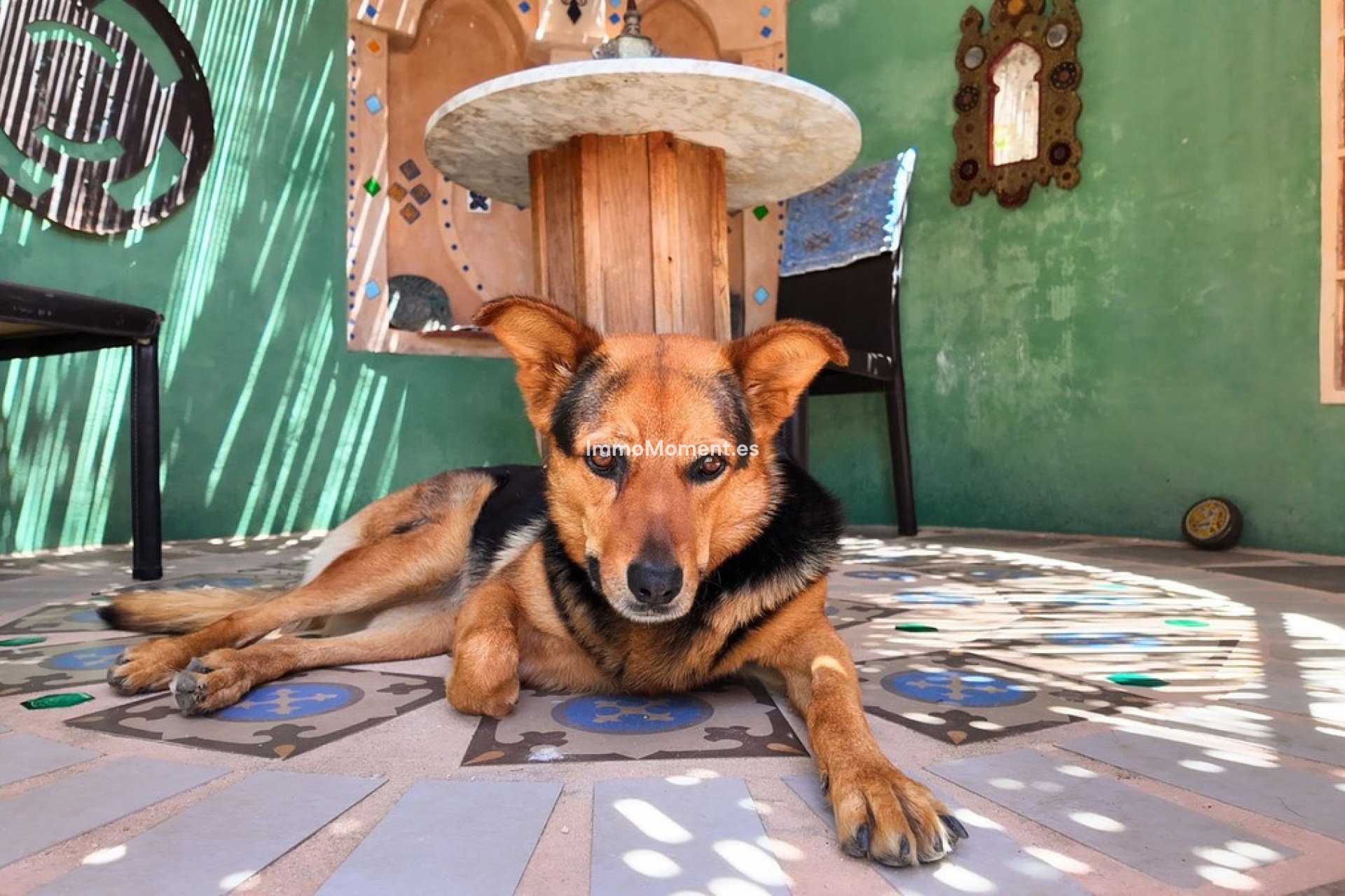 Resale - Detached villa - Inland  - Monda