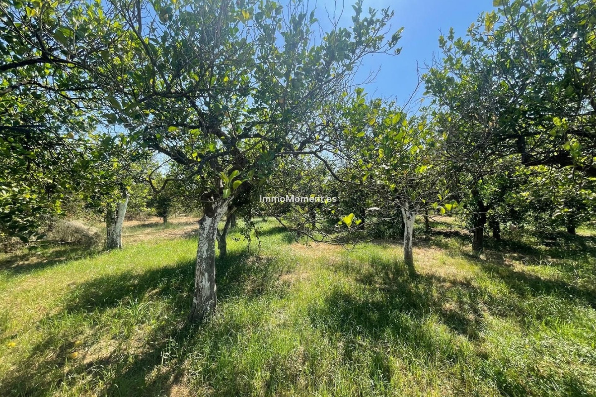 Resale - Detached villa - Inland  - Pizarra