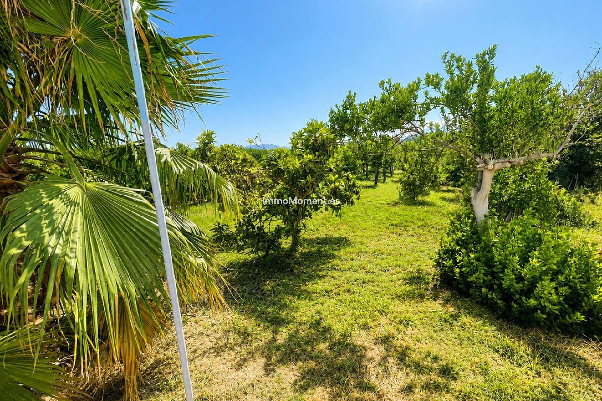 Resale - Detached villa - Inland  - Pizarra