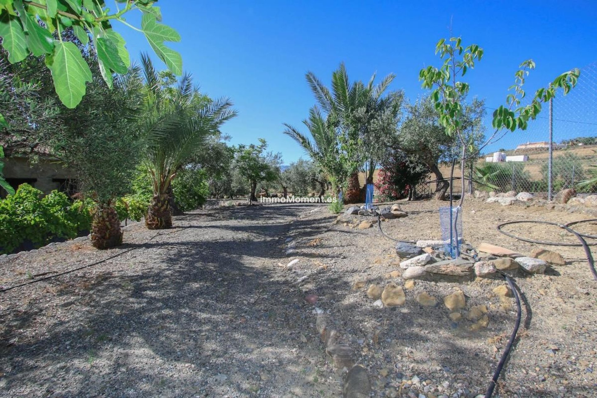 Resale - Detached villa - Inland  - Pizarra