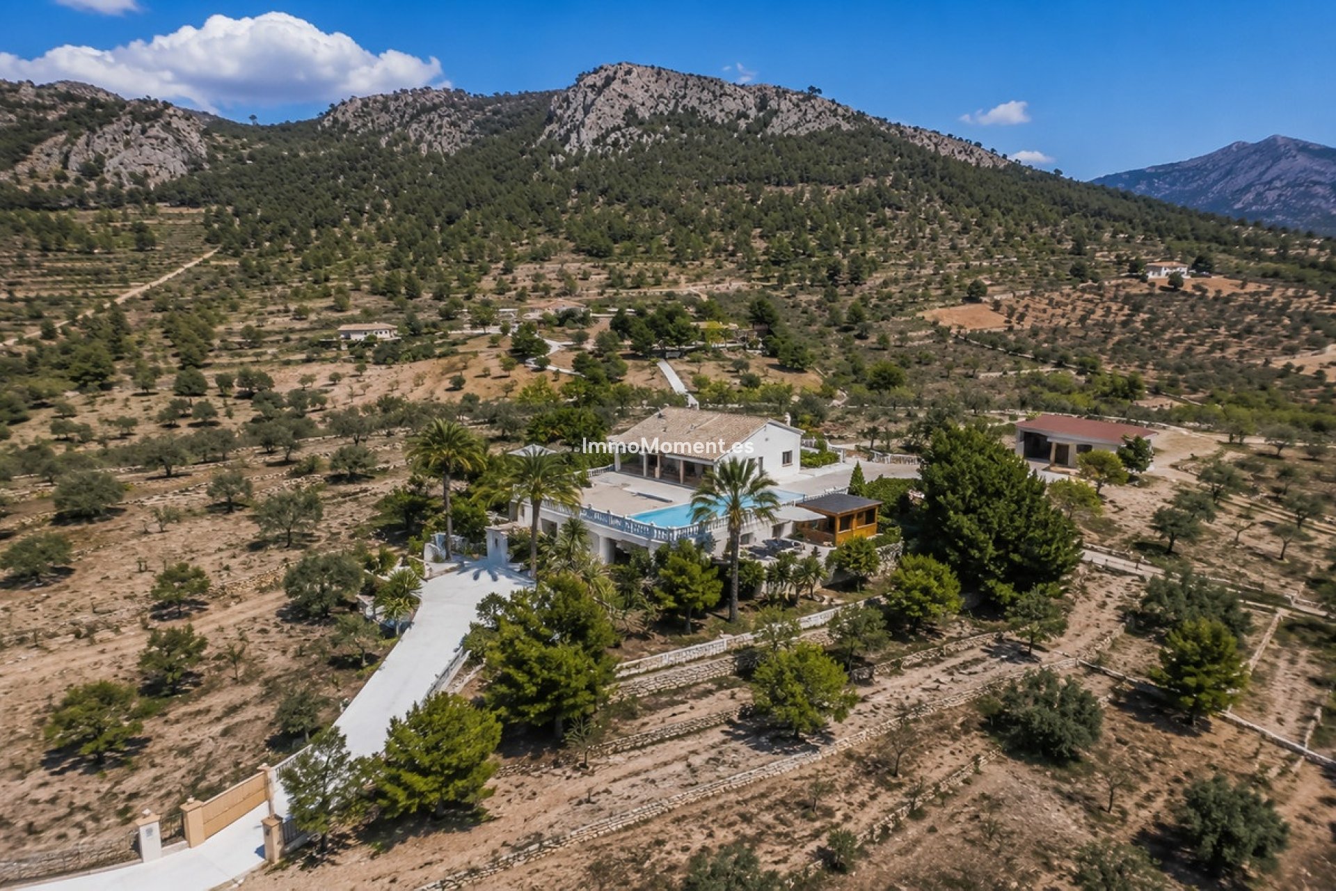 Resale - Detached villa - Jumilla - La Zarza