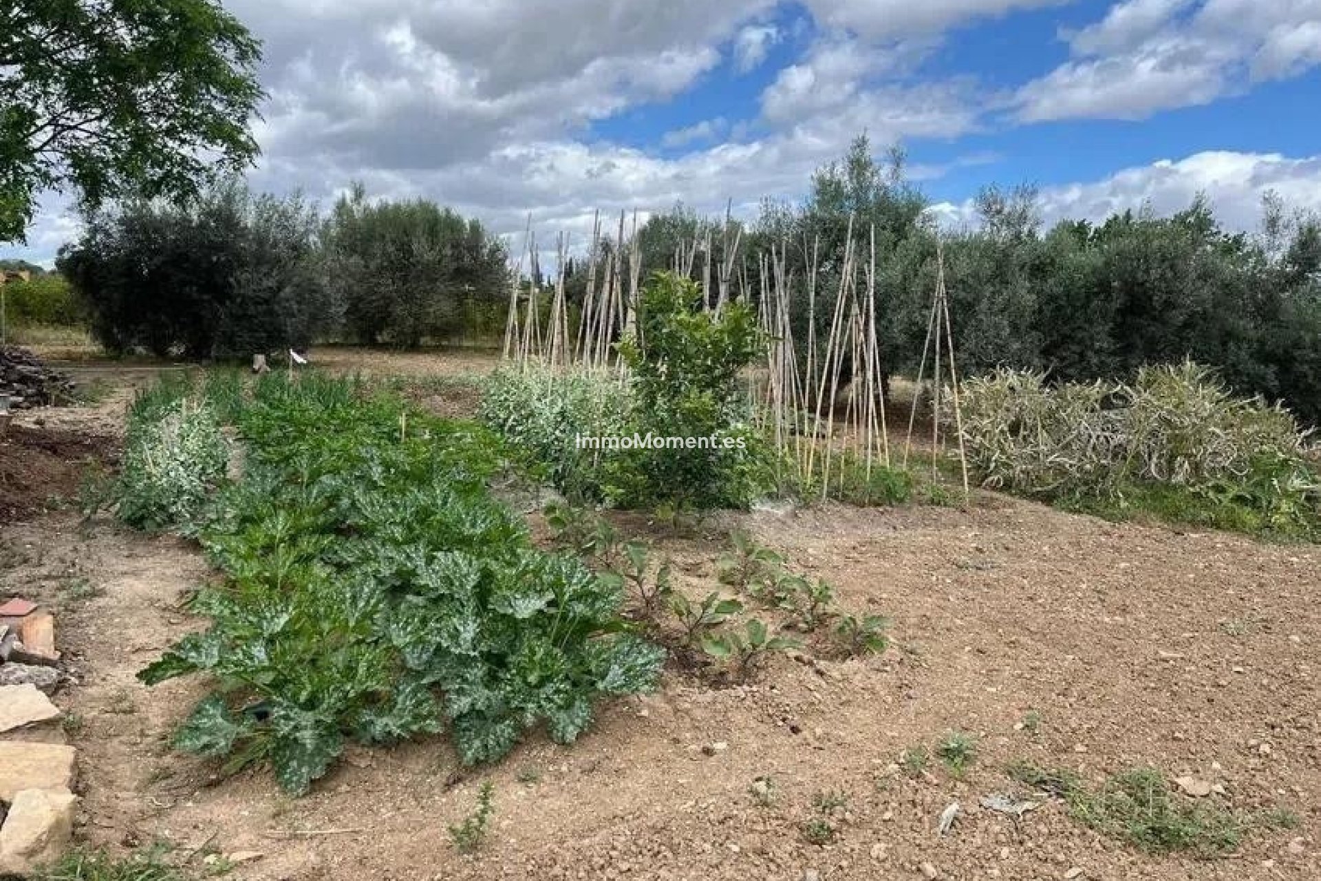Resale - Detached villa - Málaga - Campanillas
