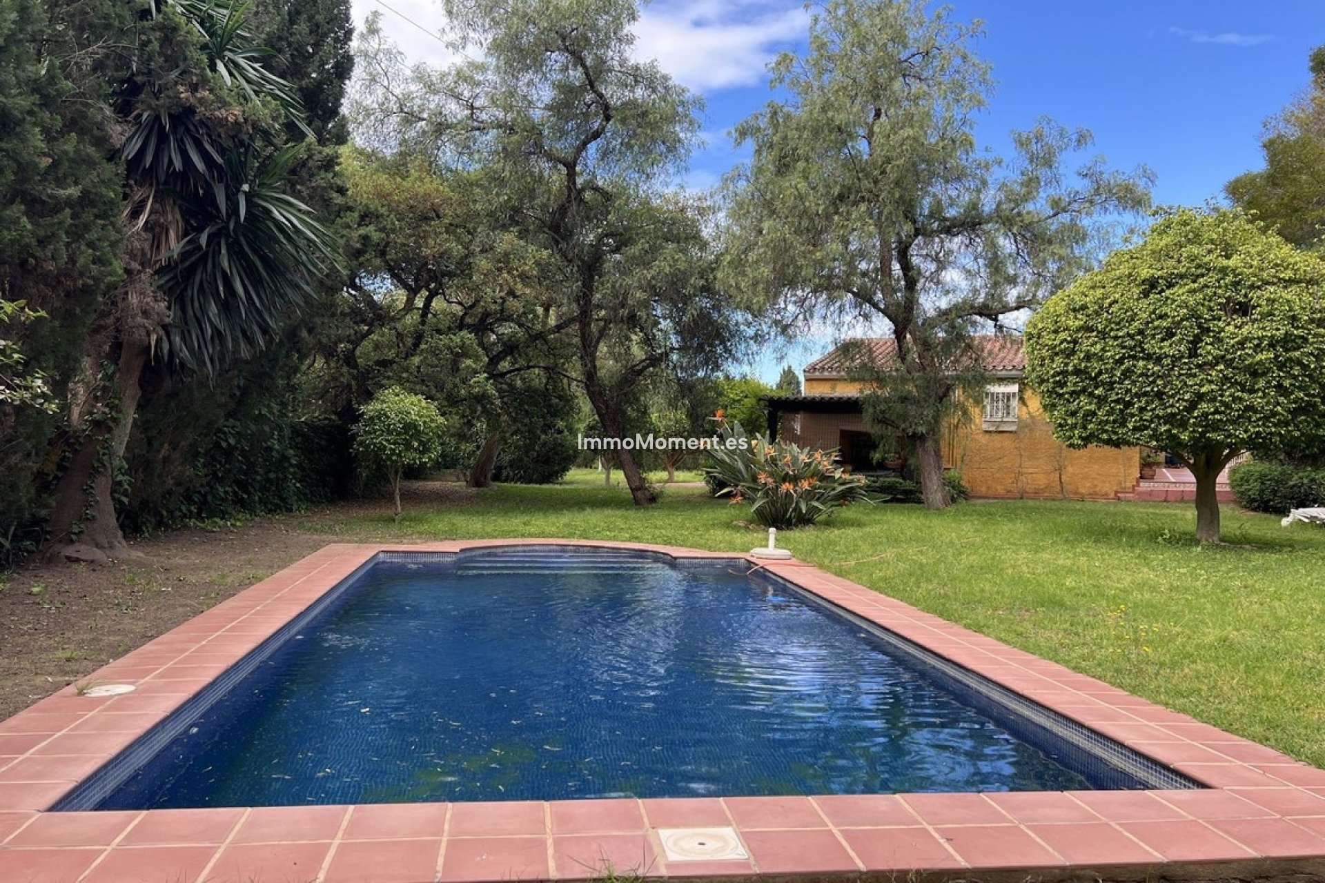 Resale - Detached villa - Marbella - El Rosario