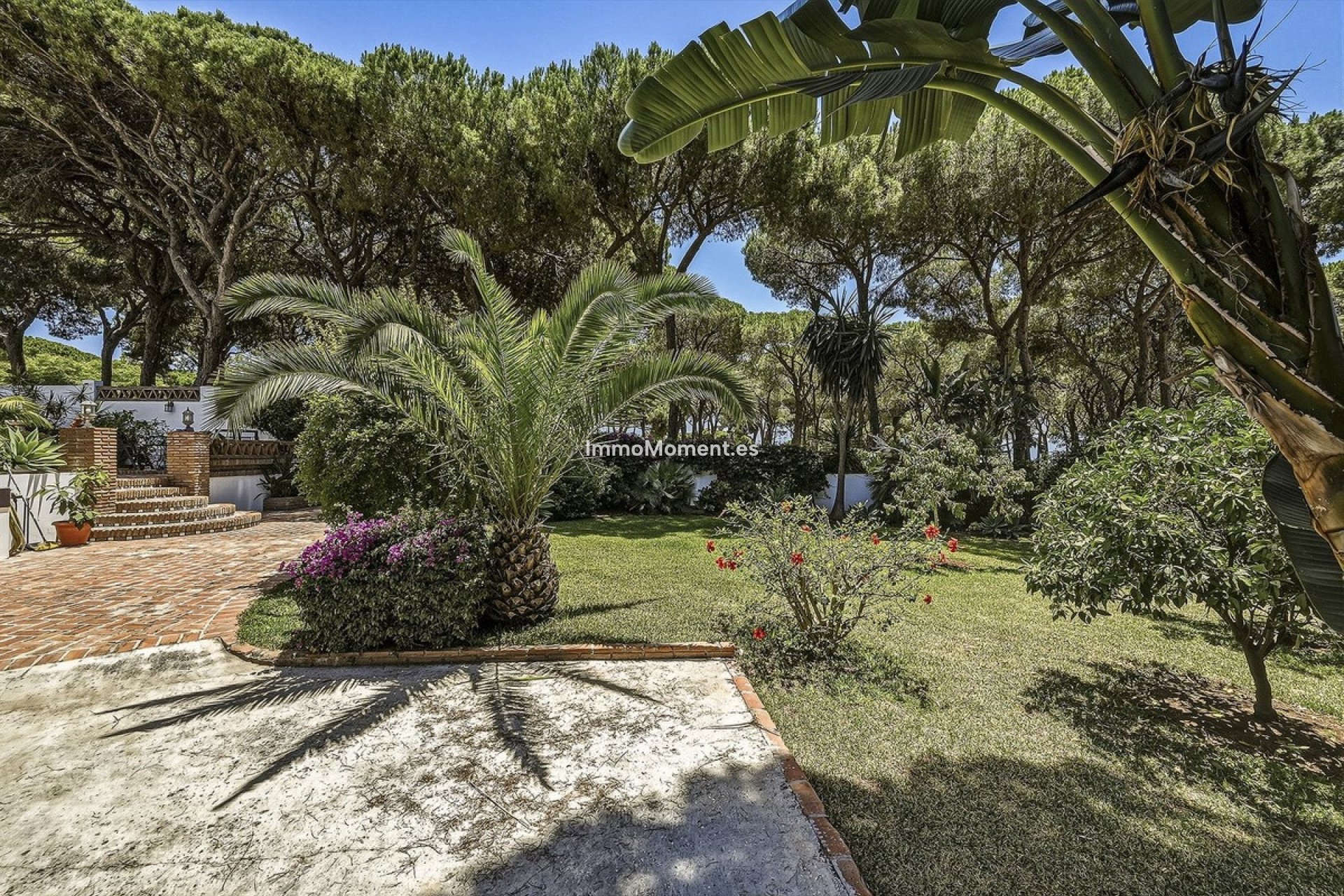 Resale - Detached villa - Marbella - El Rosario