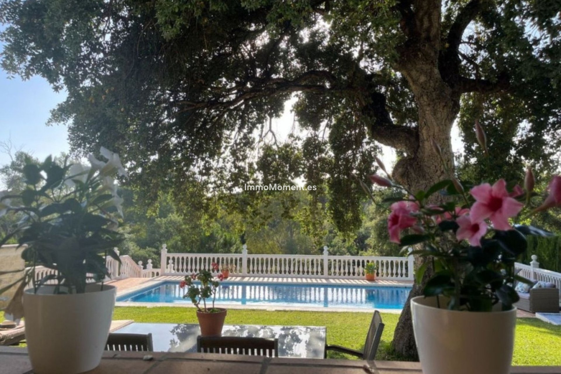 Resale - Detached villa - Marbella - Elviria