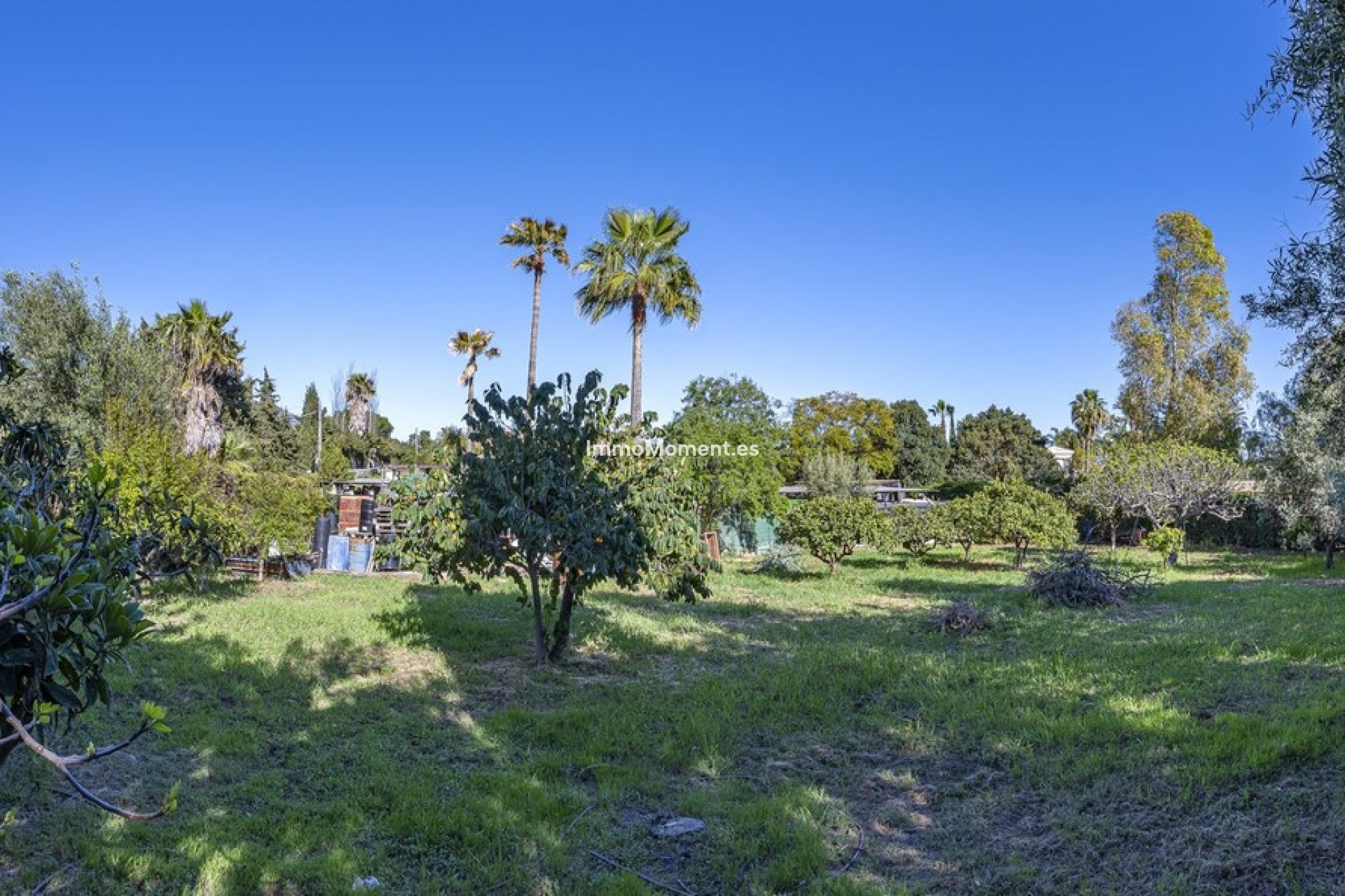Resale - Detached villa - Marbella - Guadalmina Alta