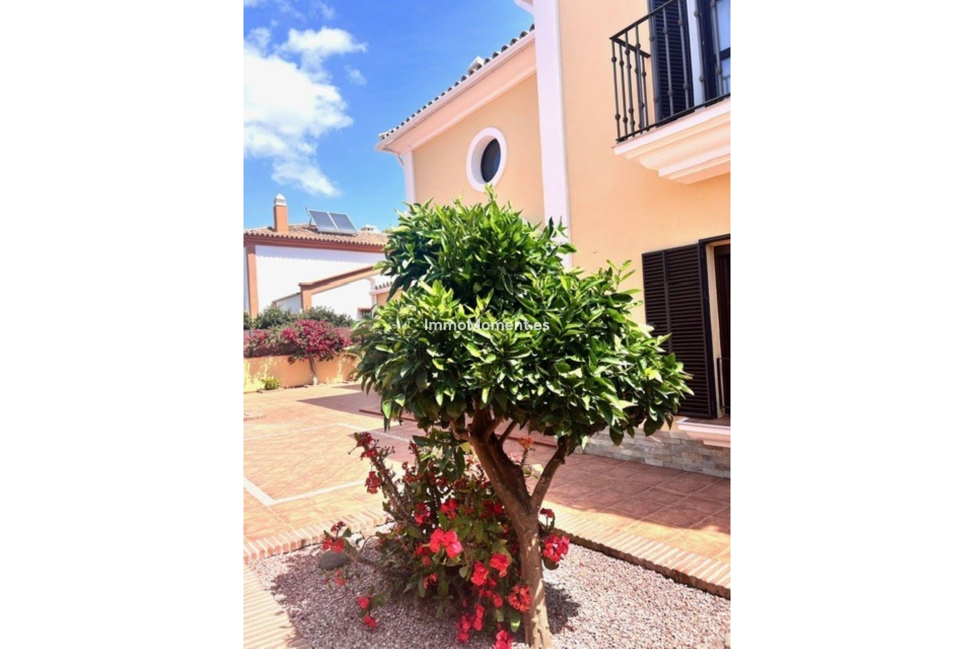 Resale - Detached villa - Marbella - Guadalmina Alta