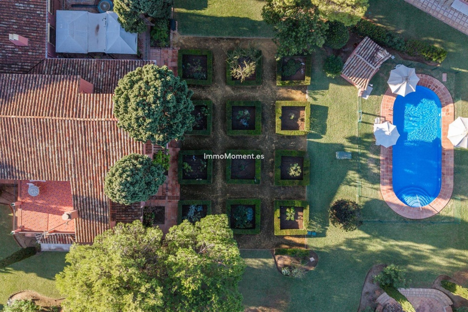 Resale - Detached villa - Marbella - Guadalmina Baja
