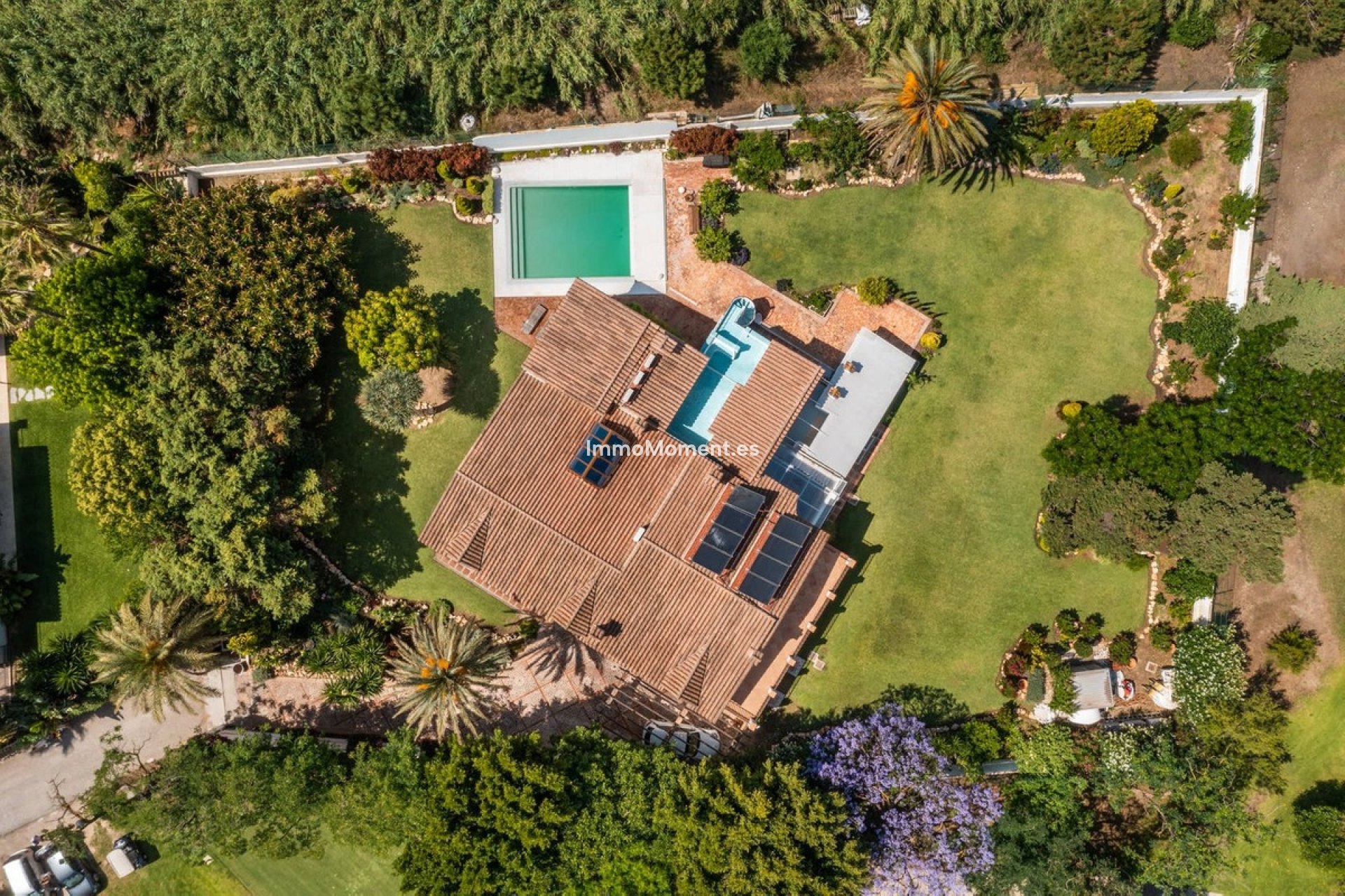 Resale - Detached villa - Marbella - Guadalmina Baja