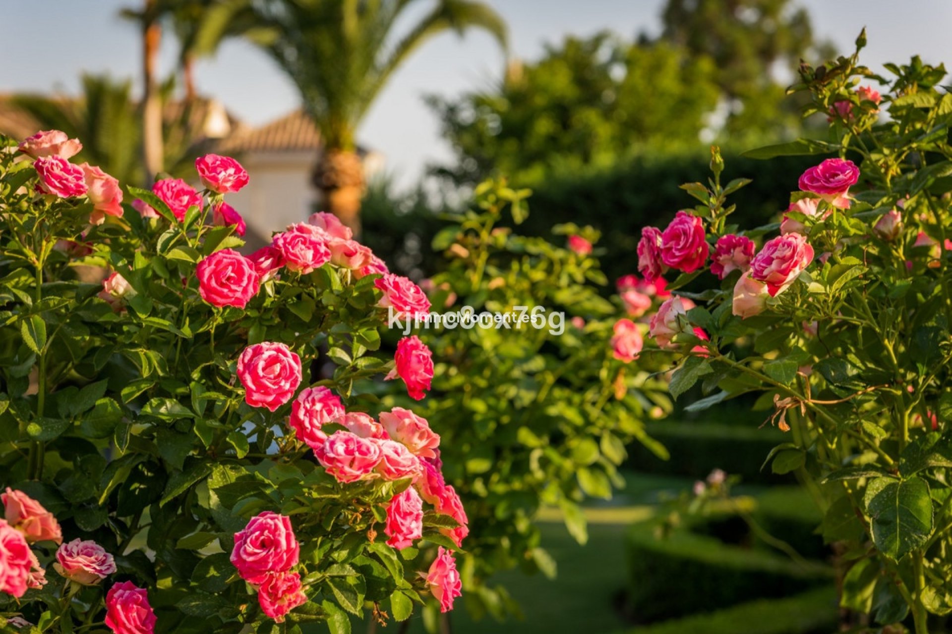 Resale - Detached villa - Marbella - Hacienda Las Chapas