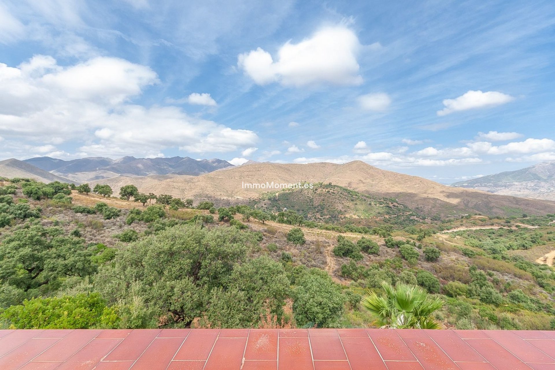 Resale - Detached villa - Marbella - La Mairena