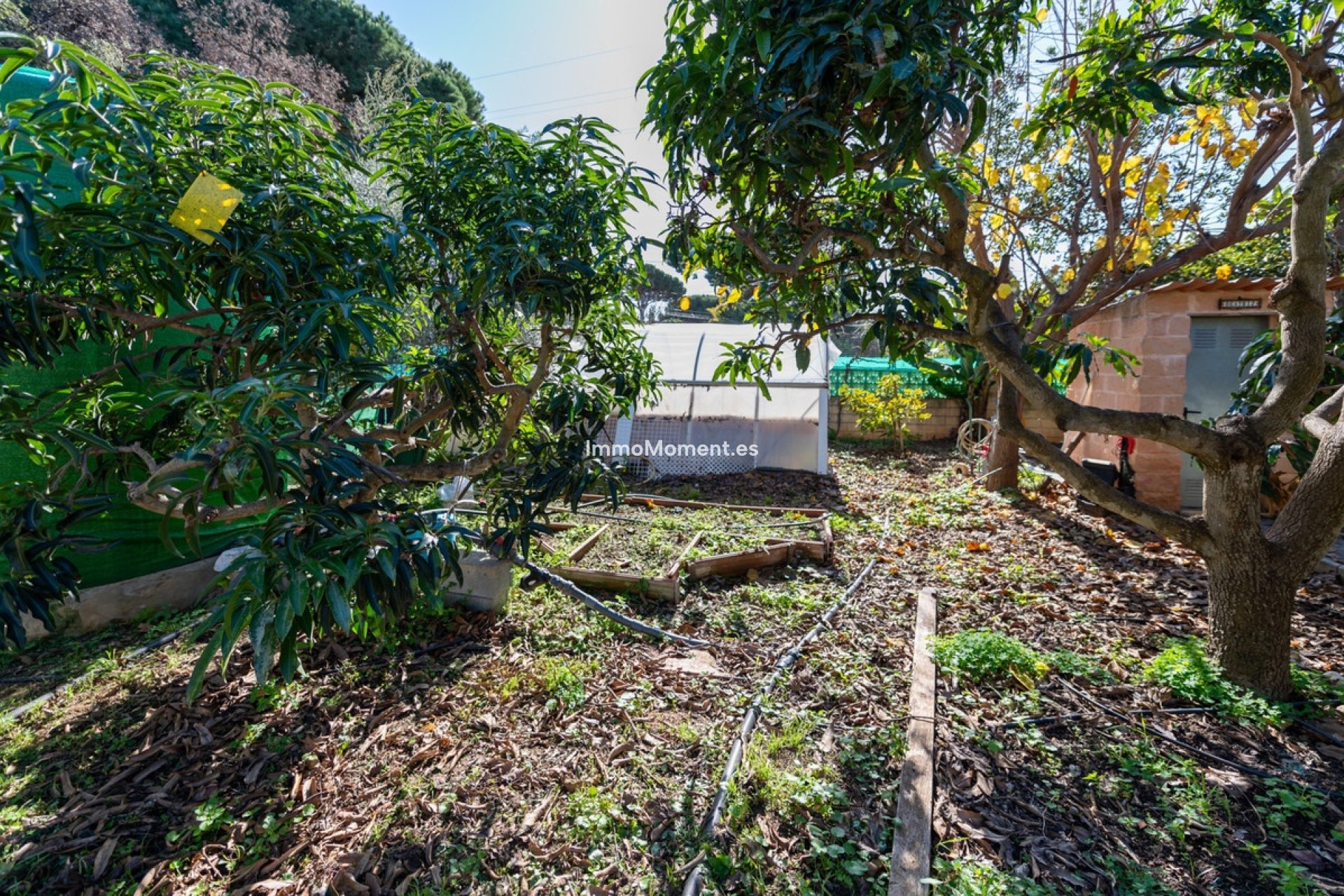 Resale - Detached villa - Marbella - Las Chapas