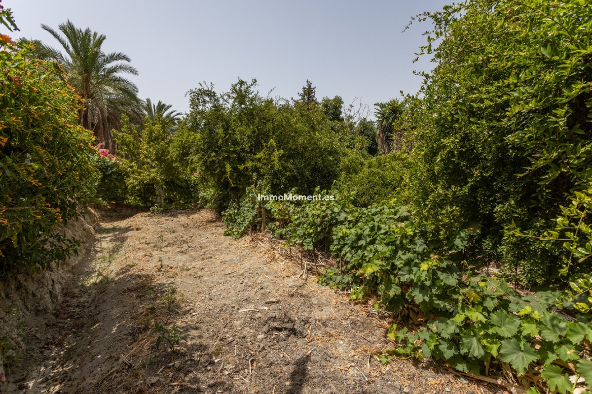 Resale - Detached villa - Marbella - San Pedro de Alcántara