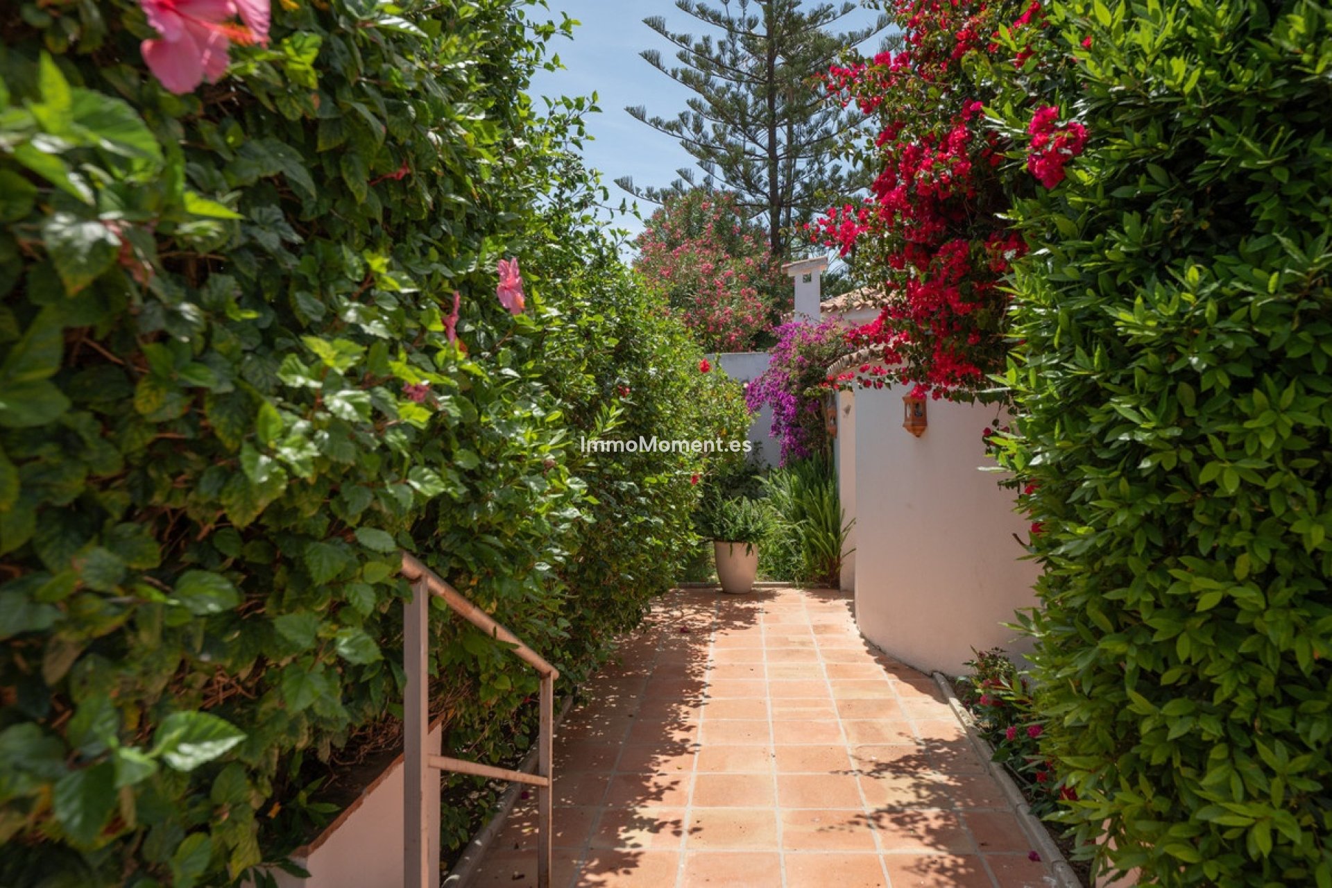 Resale - Detached villa - Marbella - San Pedro de Alcántara