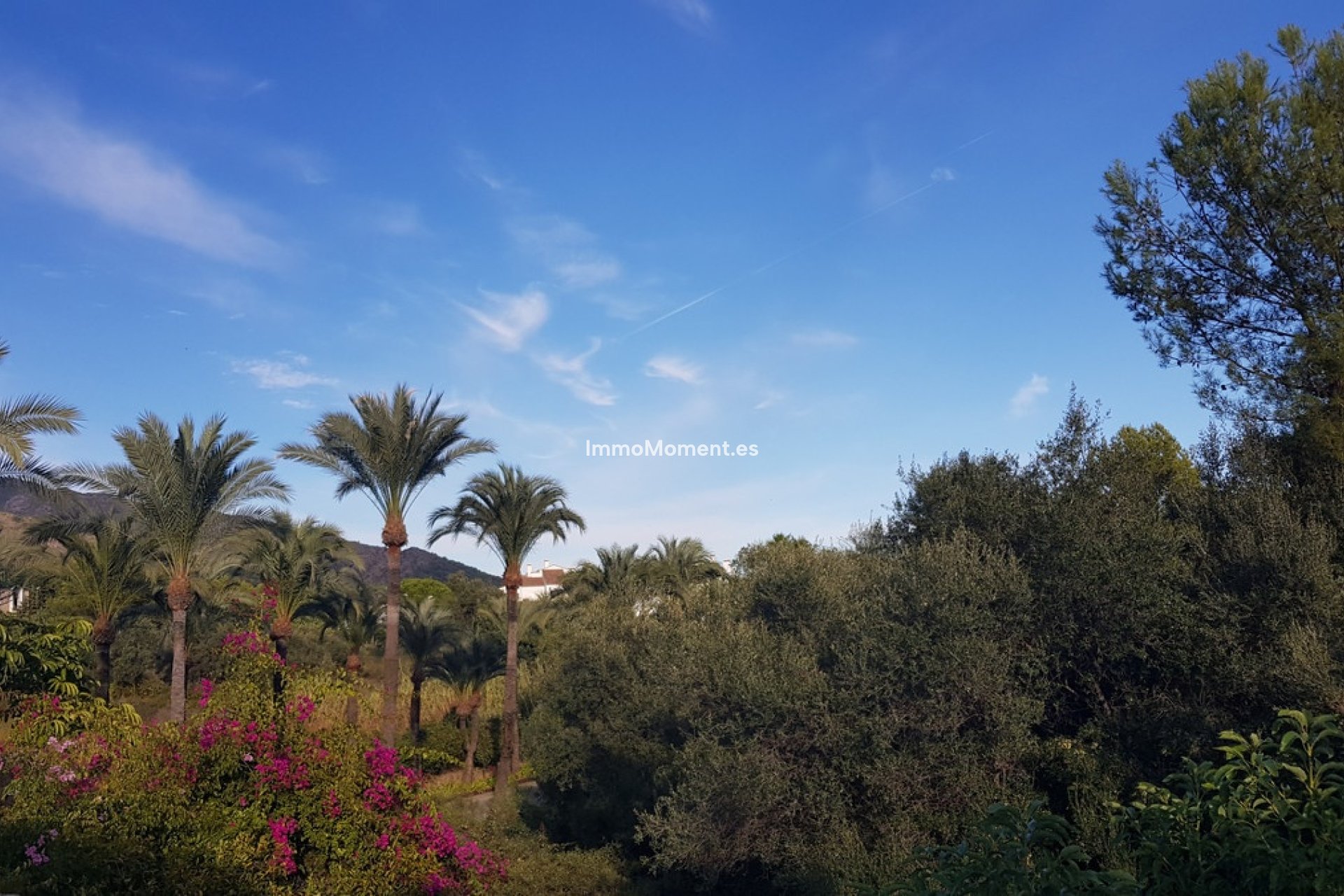 Resale - Detached villa - Marbella - Sierra Blanca