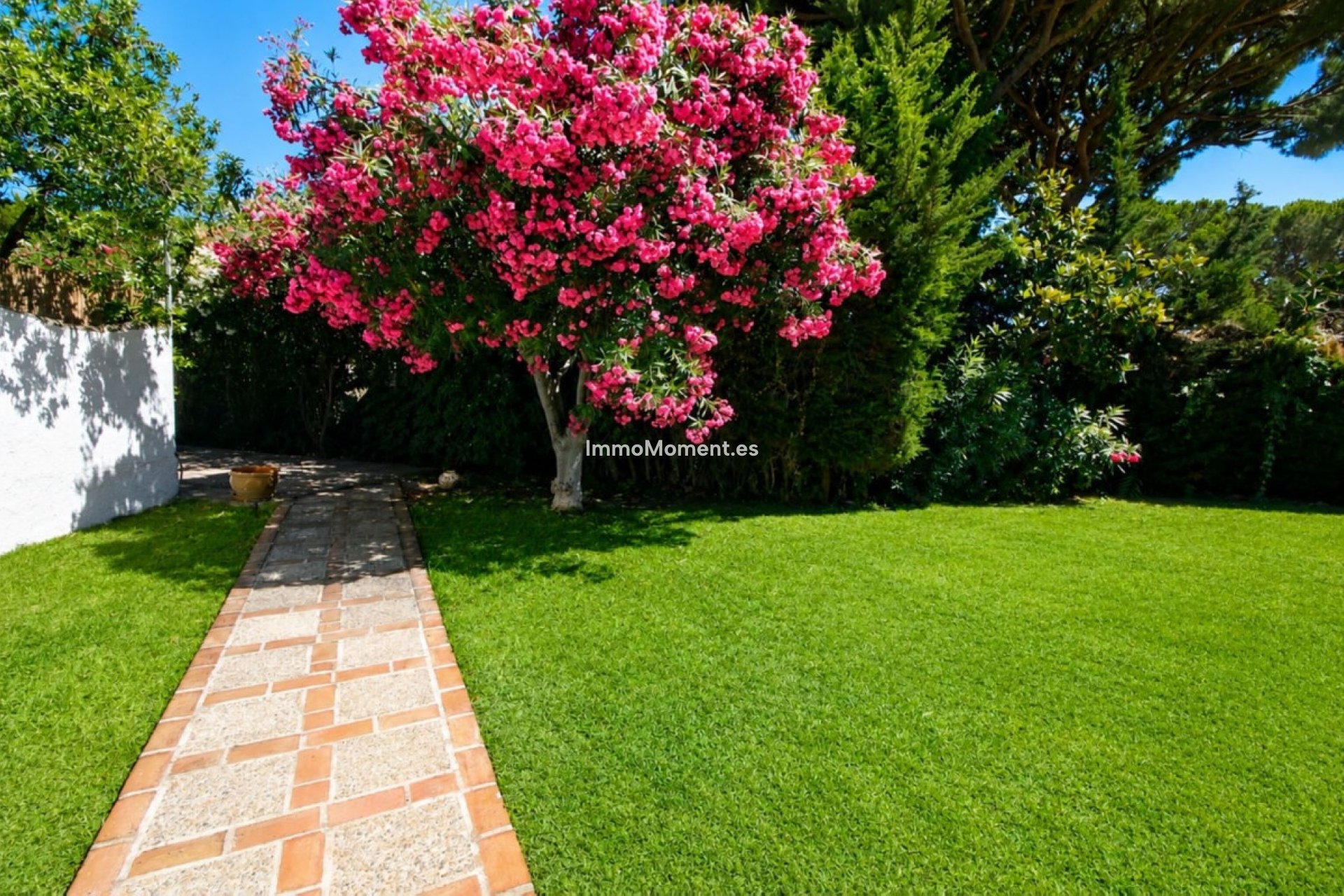 Resale - Detached villa - Mijas - Calahonda
