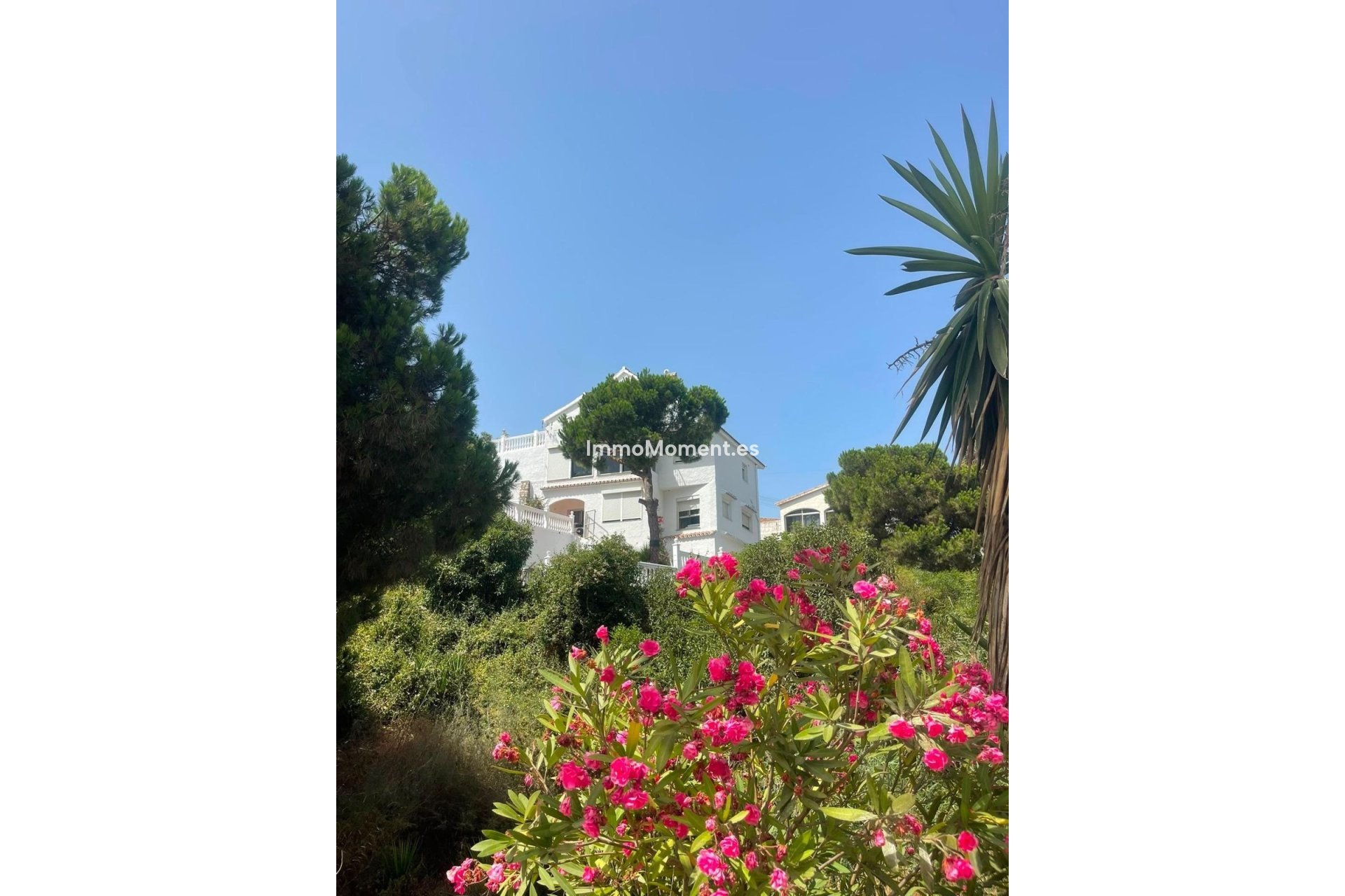 Resale - Detached villa - Mijas Costa - El Faro