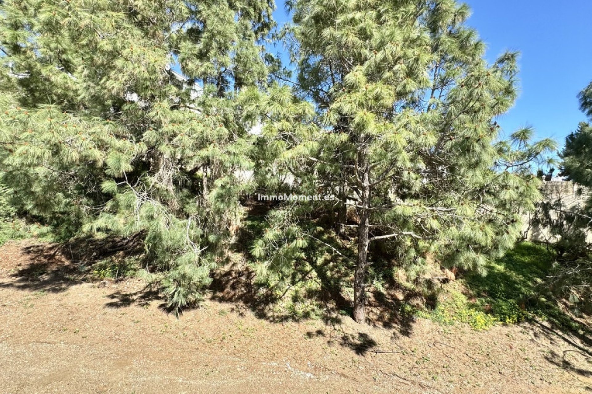 Resale - Detached villa - Mijas - El Chaparral