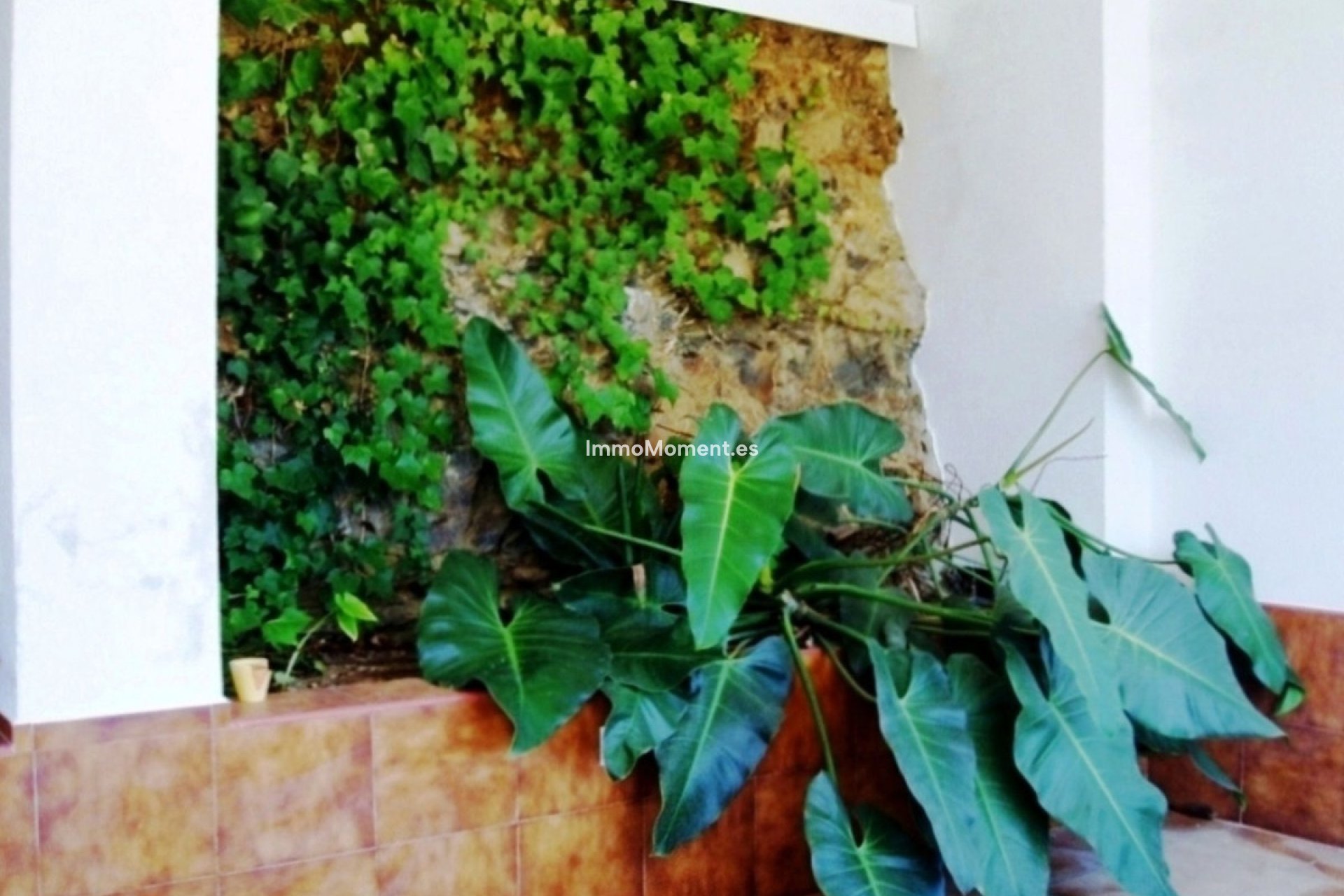 Resale - Detached villa - Mijas - Entrerrios