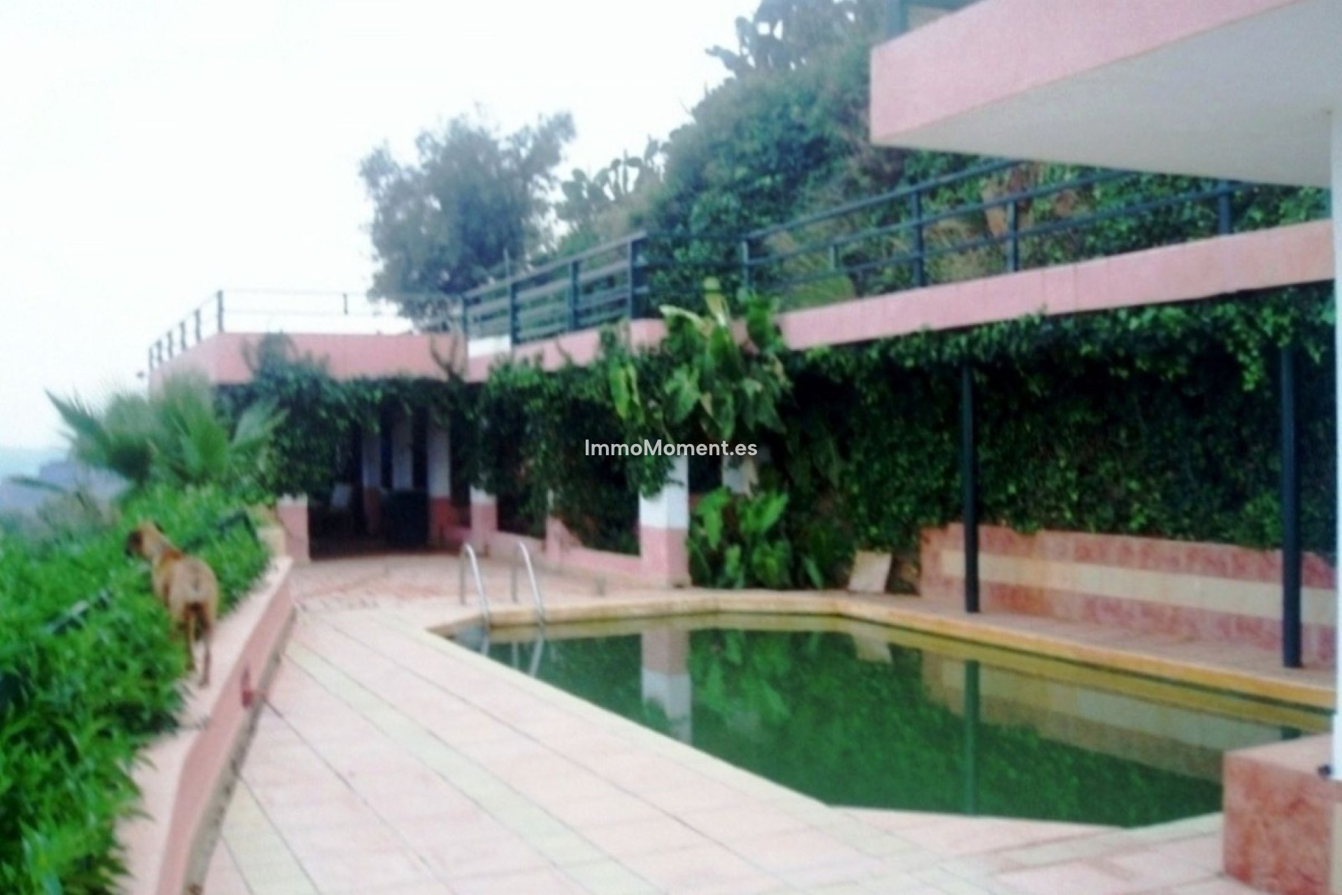 Resale - Detached villa - Mijas - Entrerrios