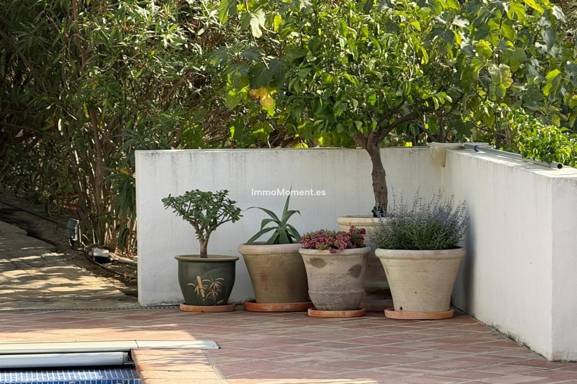 Resale - Detached villa - Mijas - Mijas Centro
