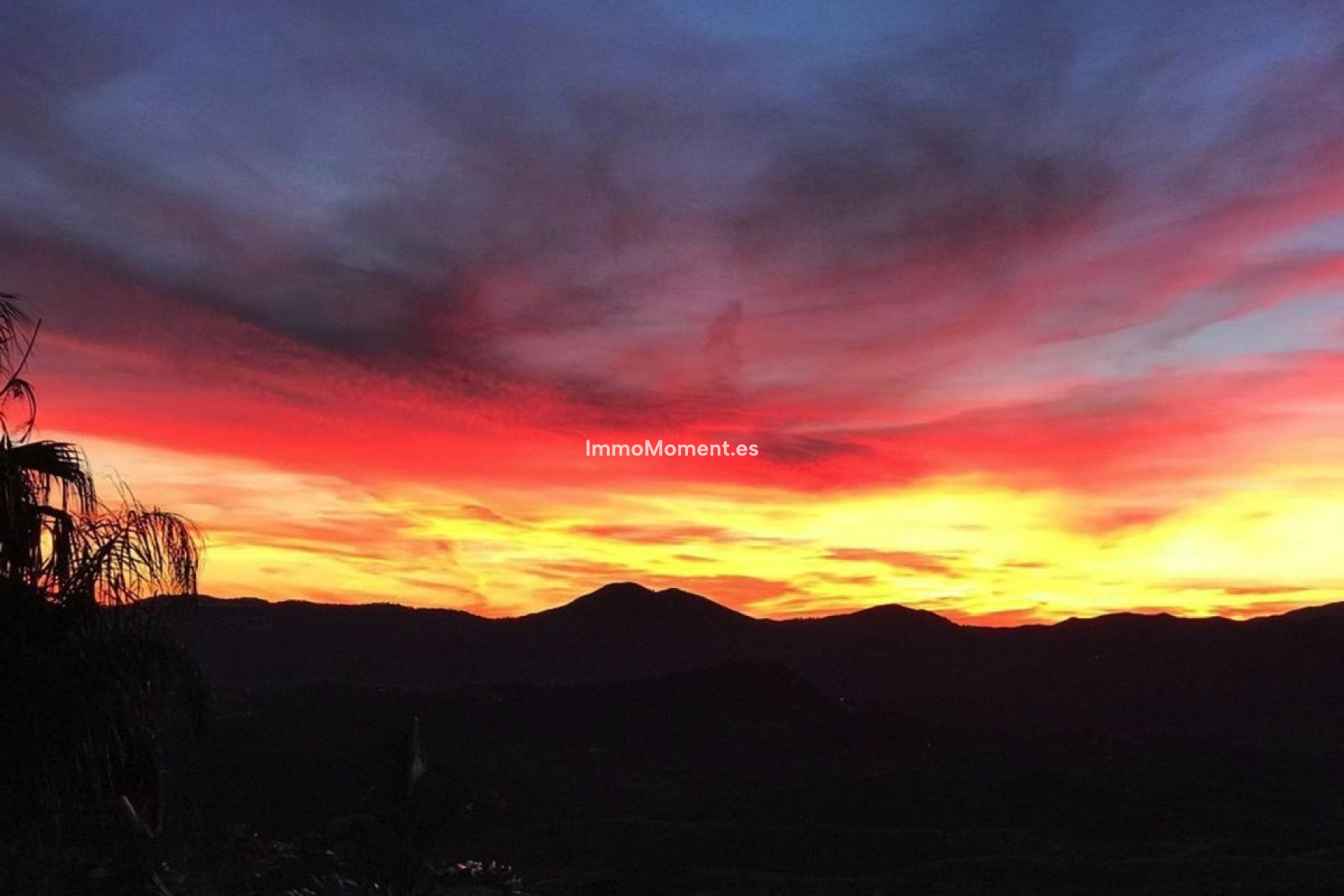 Resale - Detached villa - Mijas - Mijas Centro