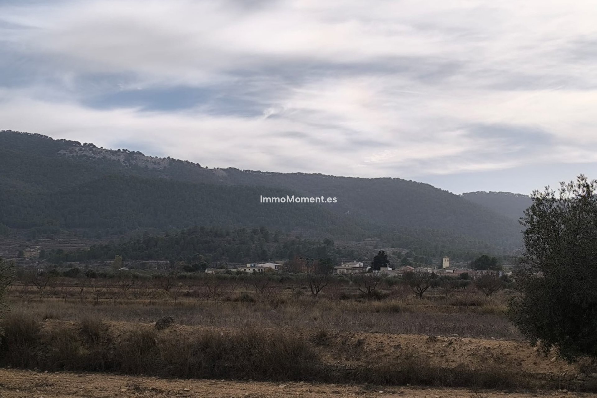 Resale - Detached villa - Monóvar - Monòver - Monóvar - Monòver Centro
