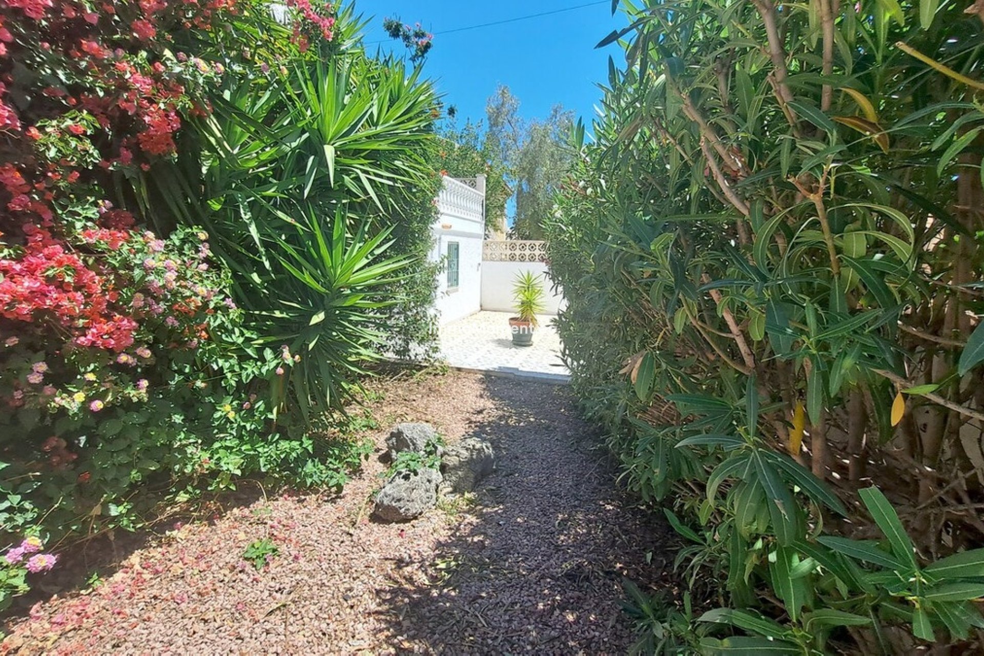 Resale - Detached villa - Orihuela - Blue Lagoon
