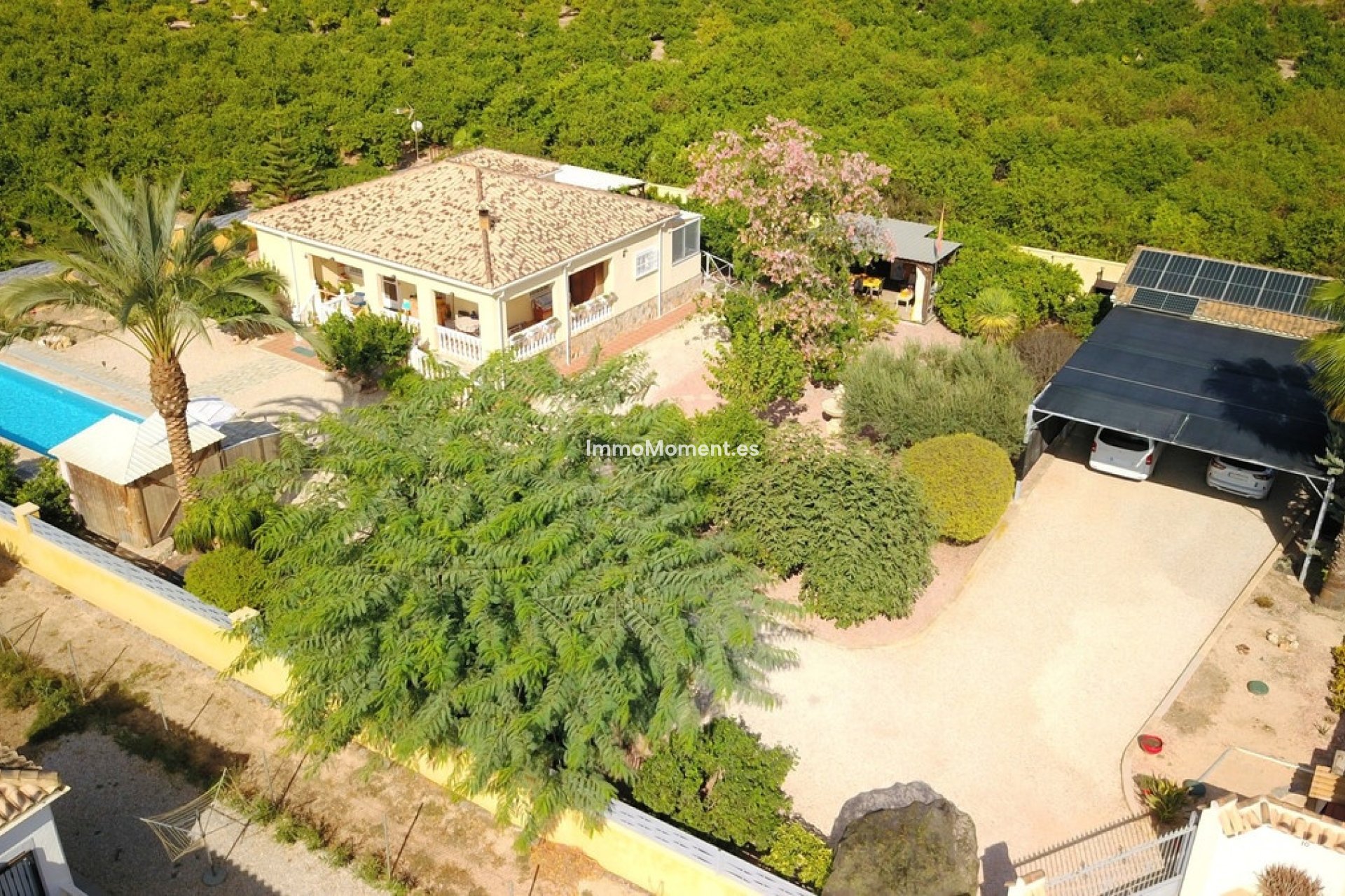 Resale - Detached villa - Orihuela - La Campaneta