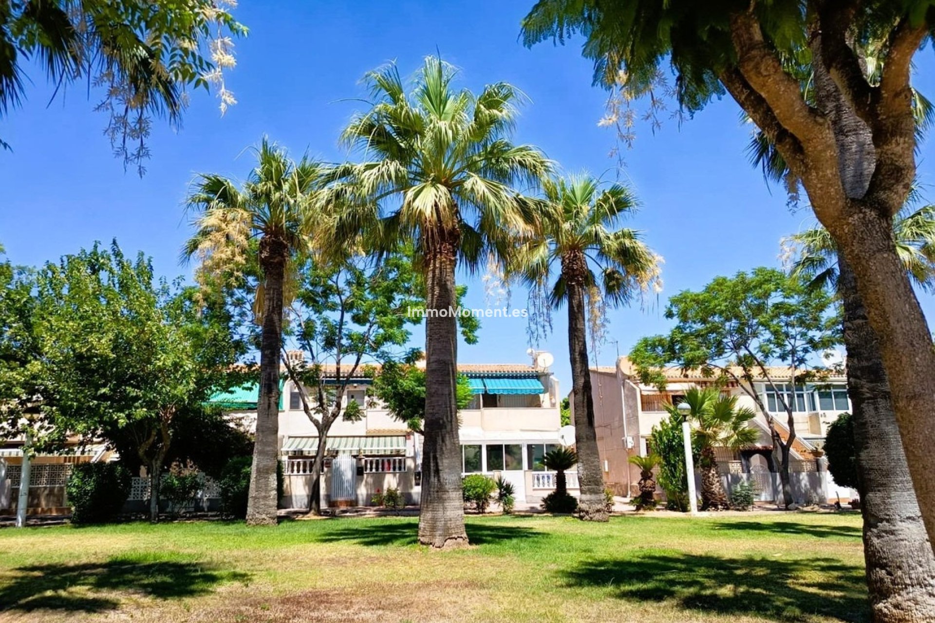 Resale - Detached villa - Orihuela - La Regia