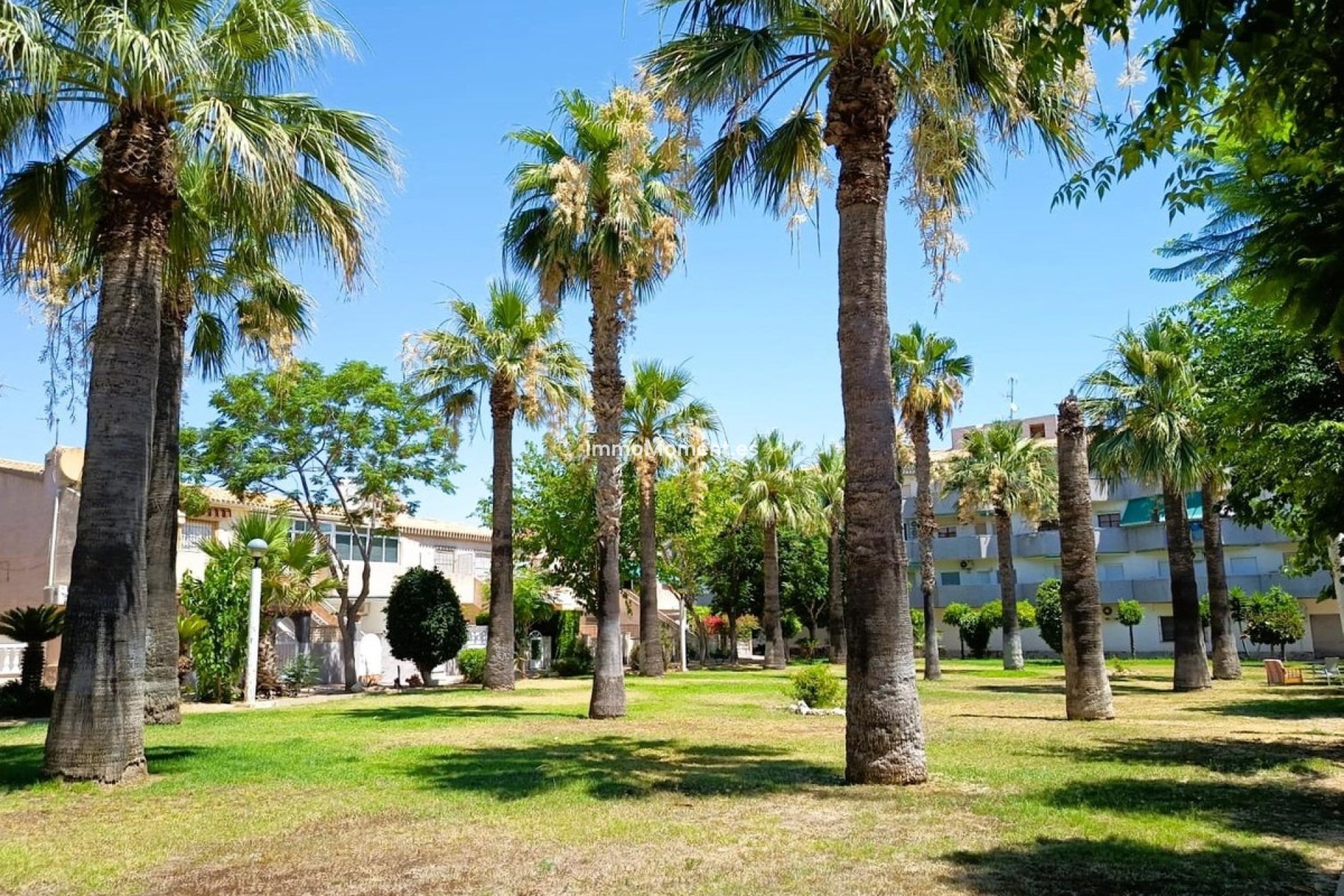 Resale - Detached villa - Orihuela - La Regia