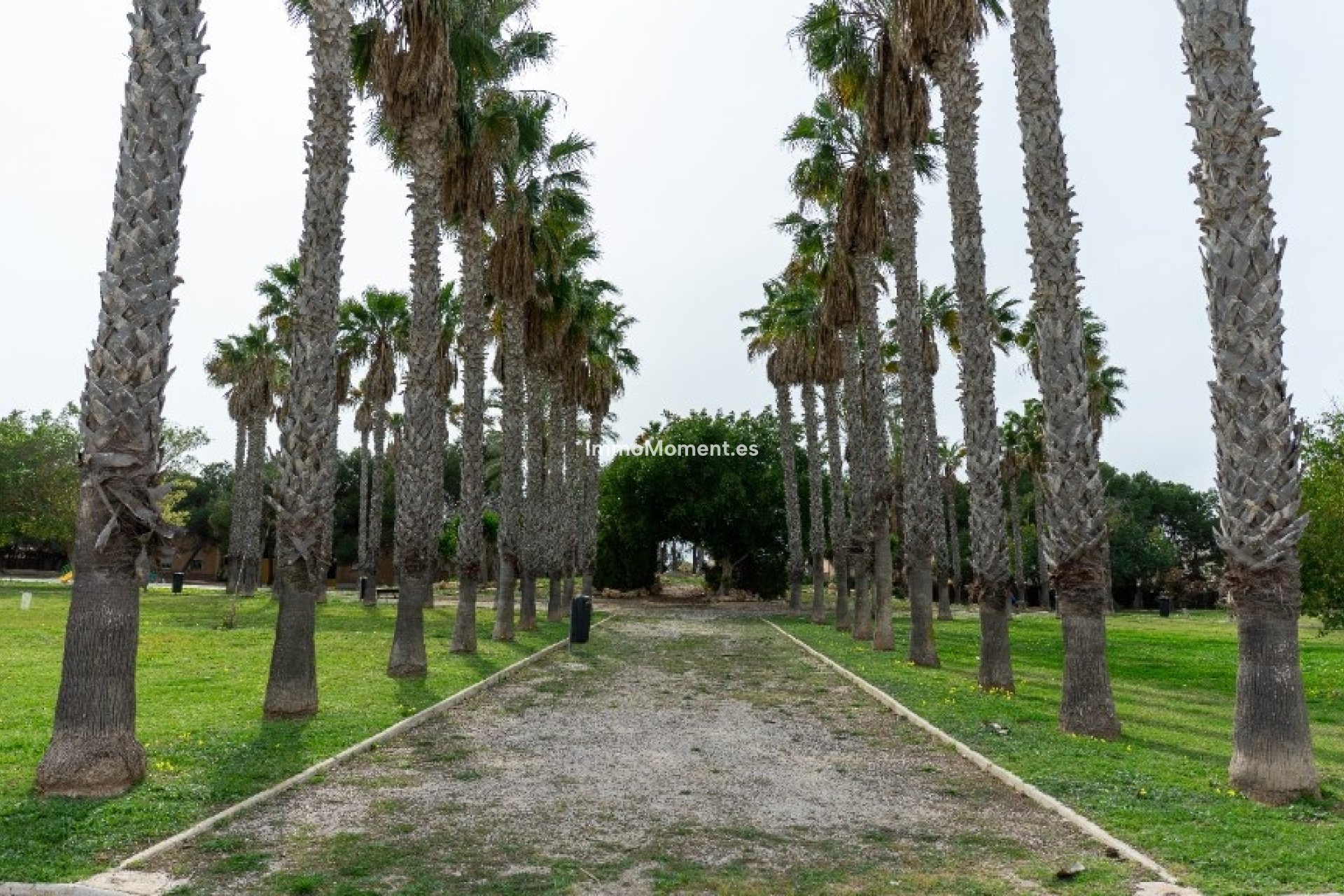 Resale - Detached villa - Orihuela - Los Altos