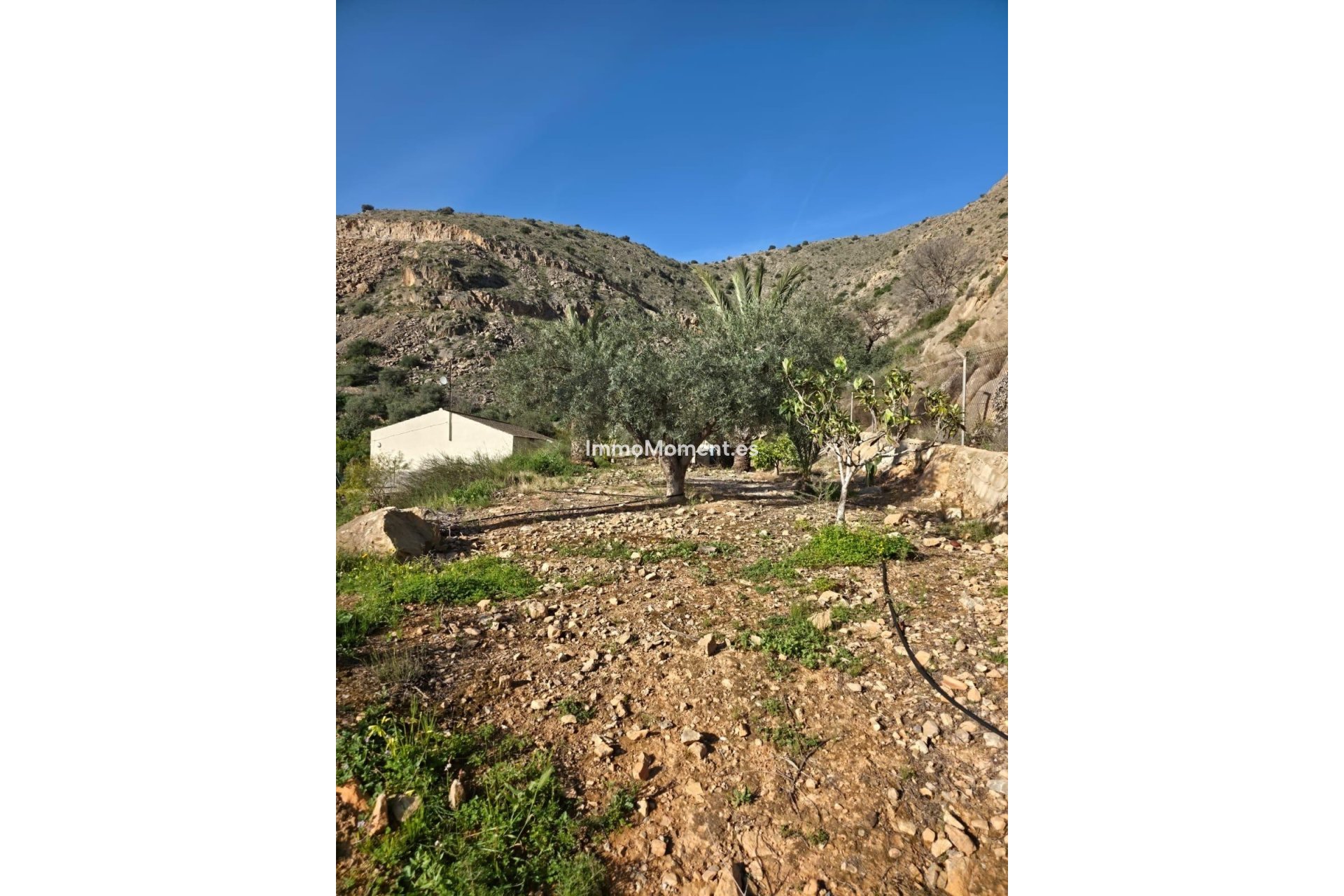 Resale - Detached villa - Orihuela - Orihuela Centro