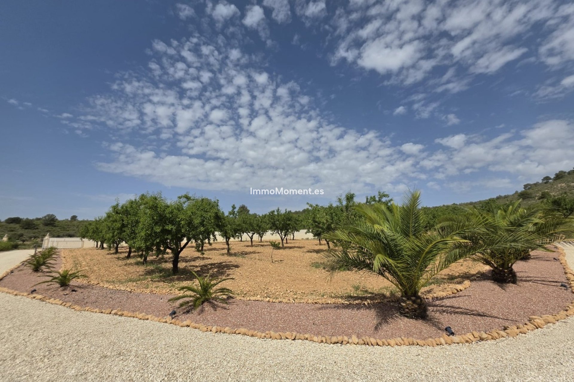 Resale - Detached villa - Pinoso - Pinoso Centro