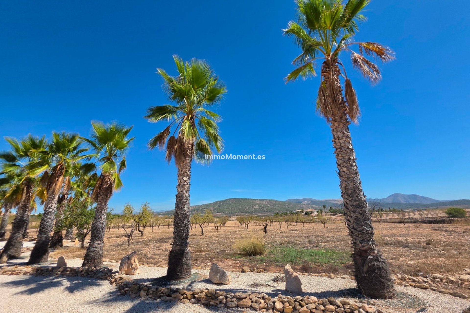 Resale - Detached villa - Pinoso - Pinoso Centro