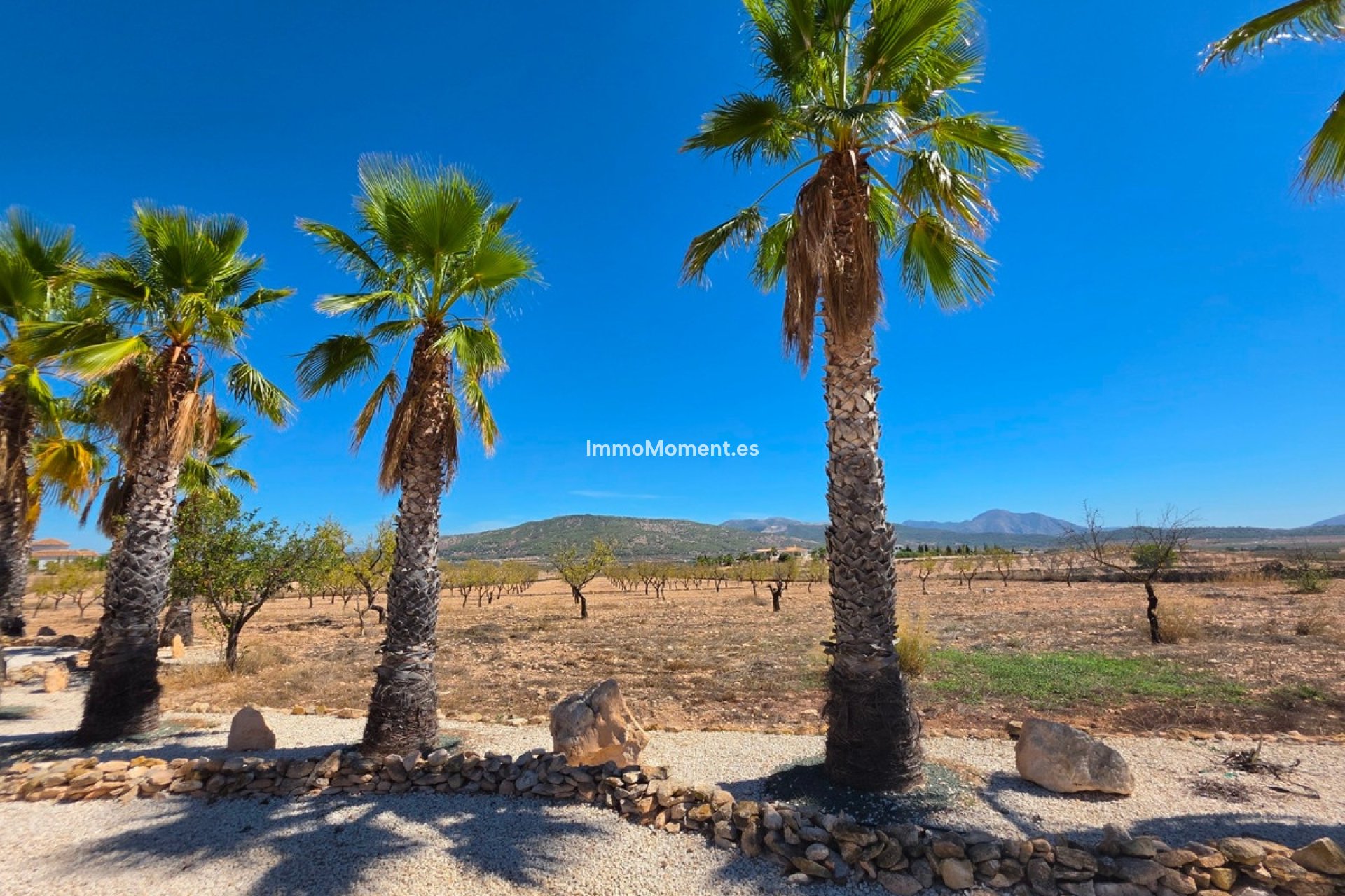 Resale - Detached villa - Pinoso - Pinoso Centro