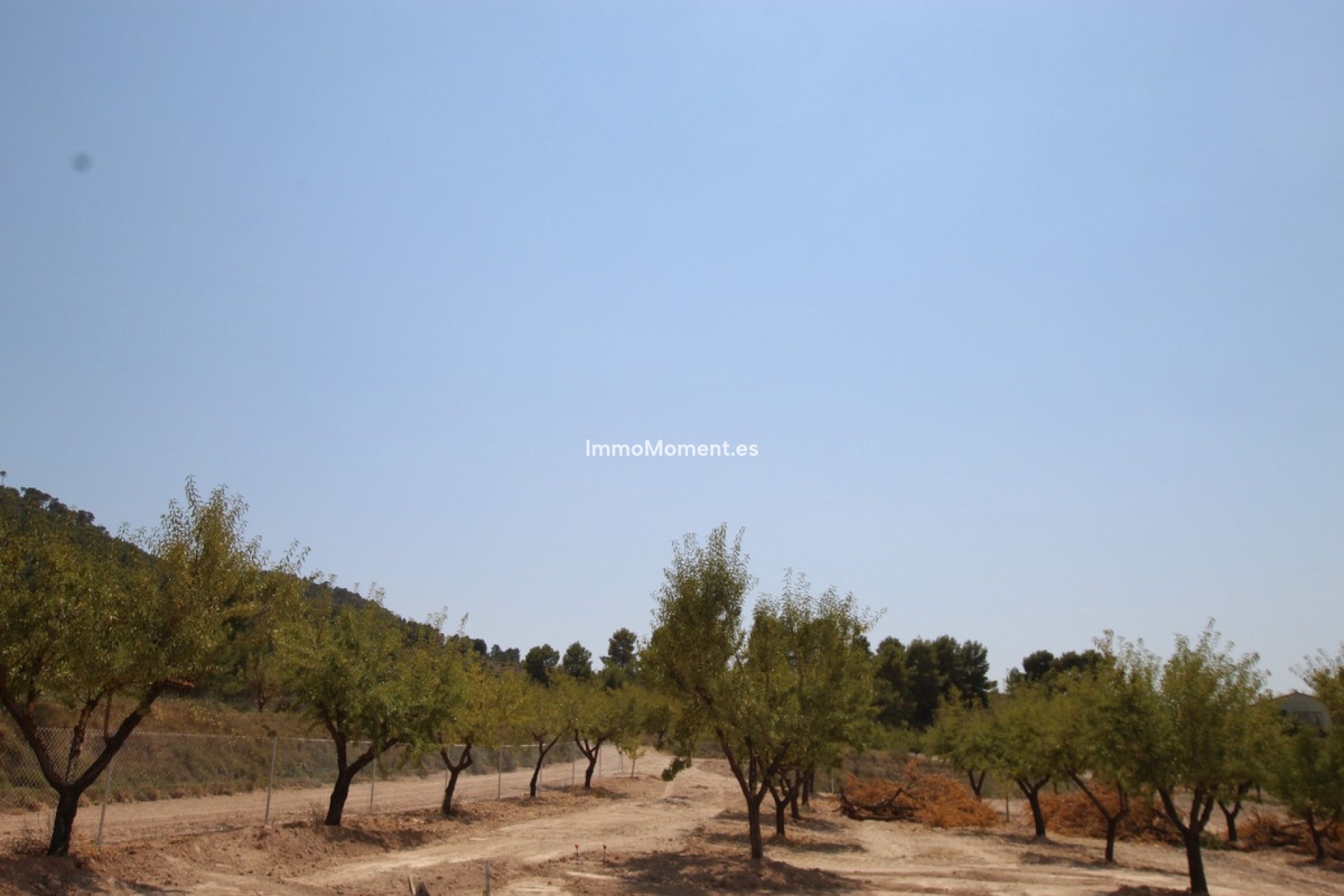 Resale - Detached villa - Pinoso - Pinoso Centro