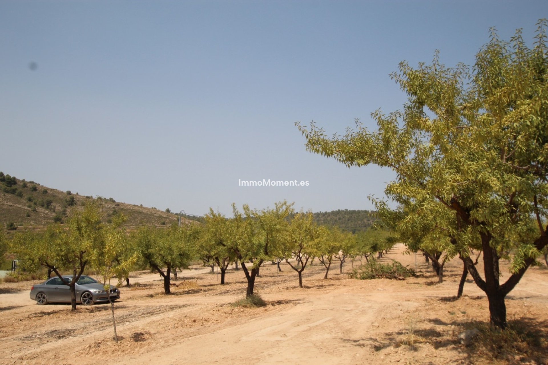 Resale - Detached villa - Pinoso - Pinoso Centro