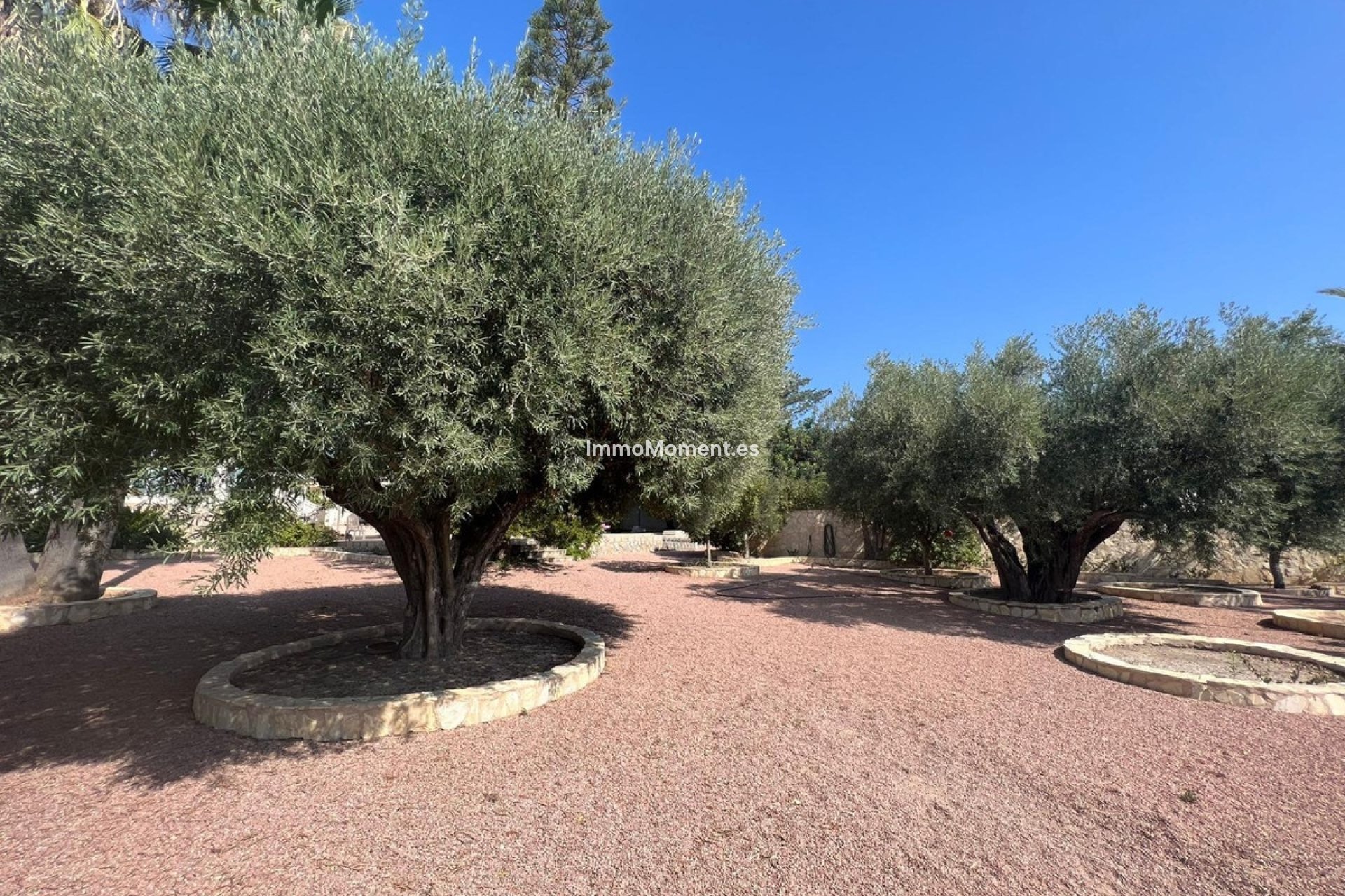 Resale - Detached villa - Rojales - Ciudad Quesada
