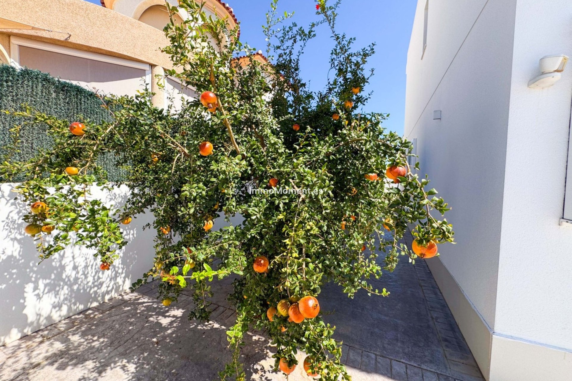 Resale - Detached villa - San Fulgencio - San Fulgencio Centro