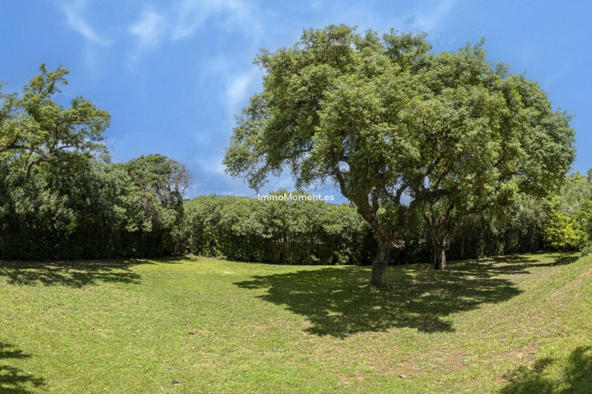 Resale - Detached villa - Sotogrande - Sotogrande Alto