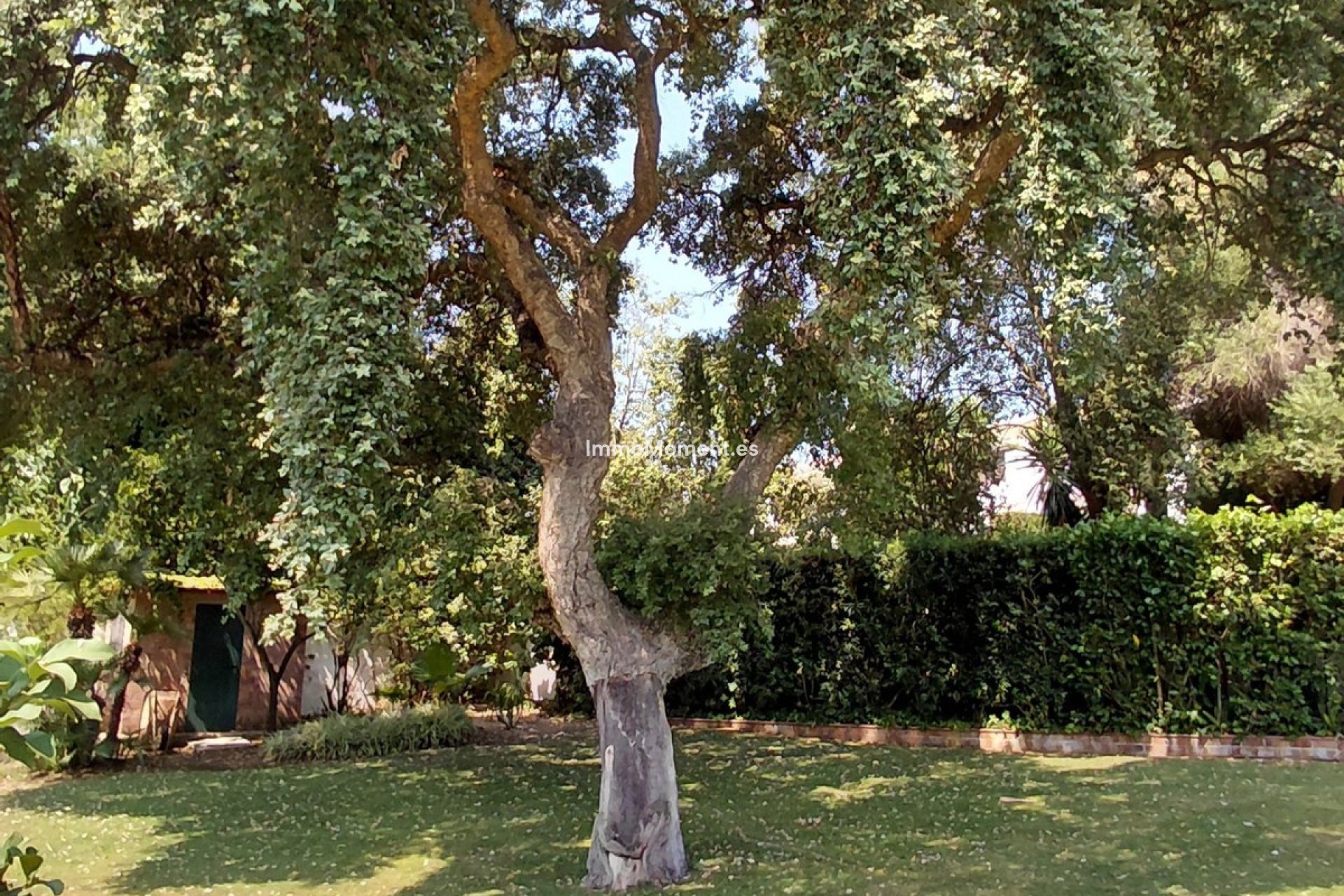 Resale - Detached villa - Sotogrande - Sotogrande Costa