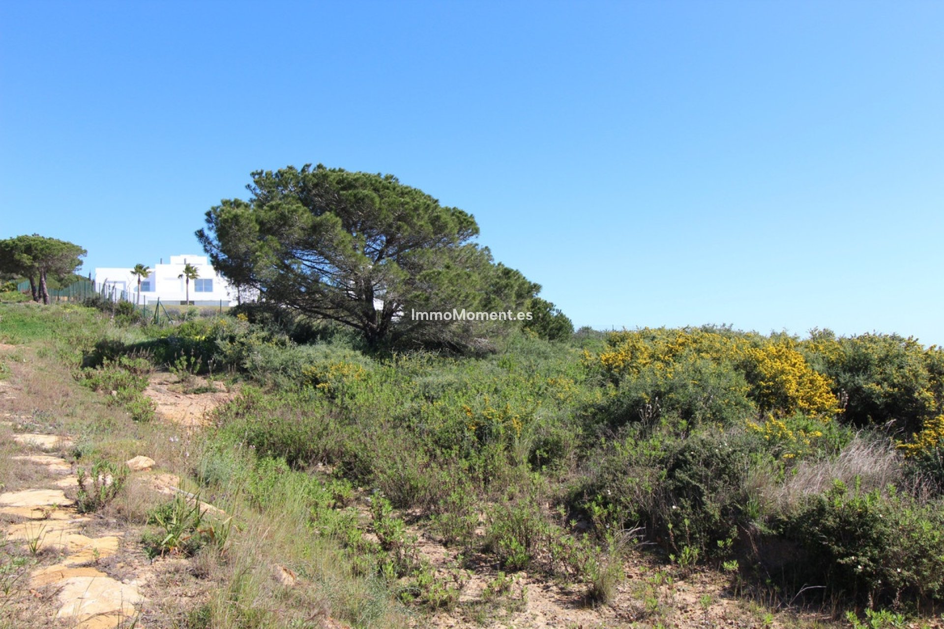 Resale - Detached villa - Sotogrande