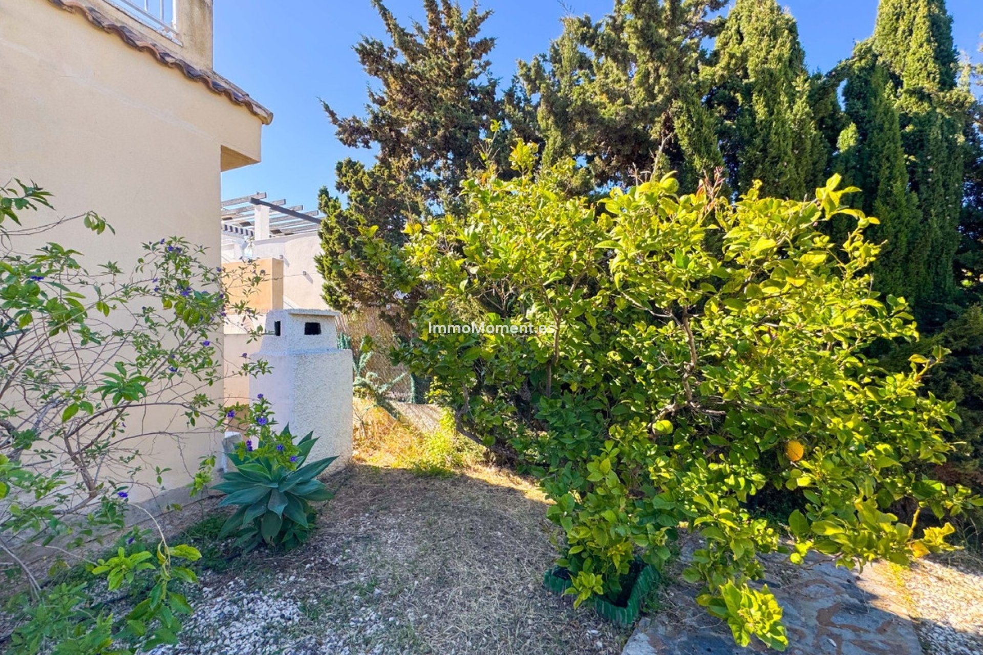 Resale - Detached villa - Torrevieja - Torre la mata