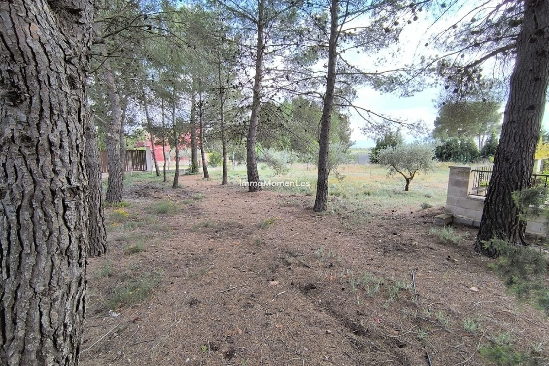 Resale - Detached villa - Yecla - Yecla Centro