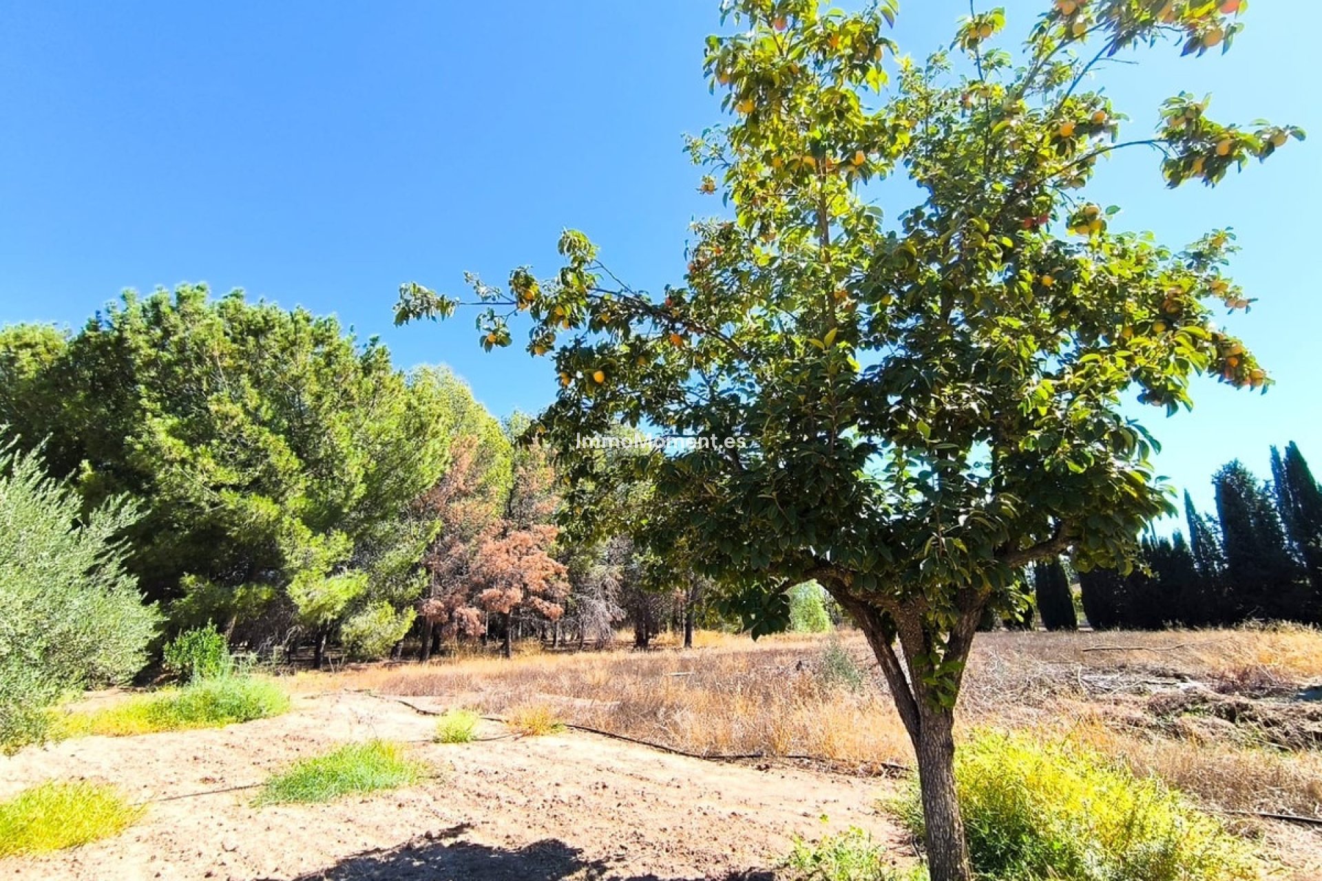 Resale - Detached villa - Yecla - Yecla Centro