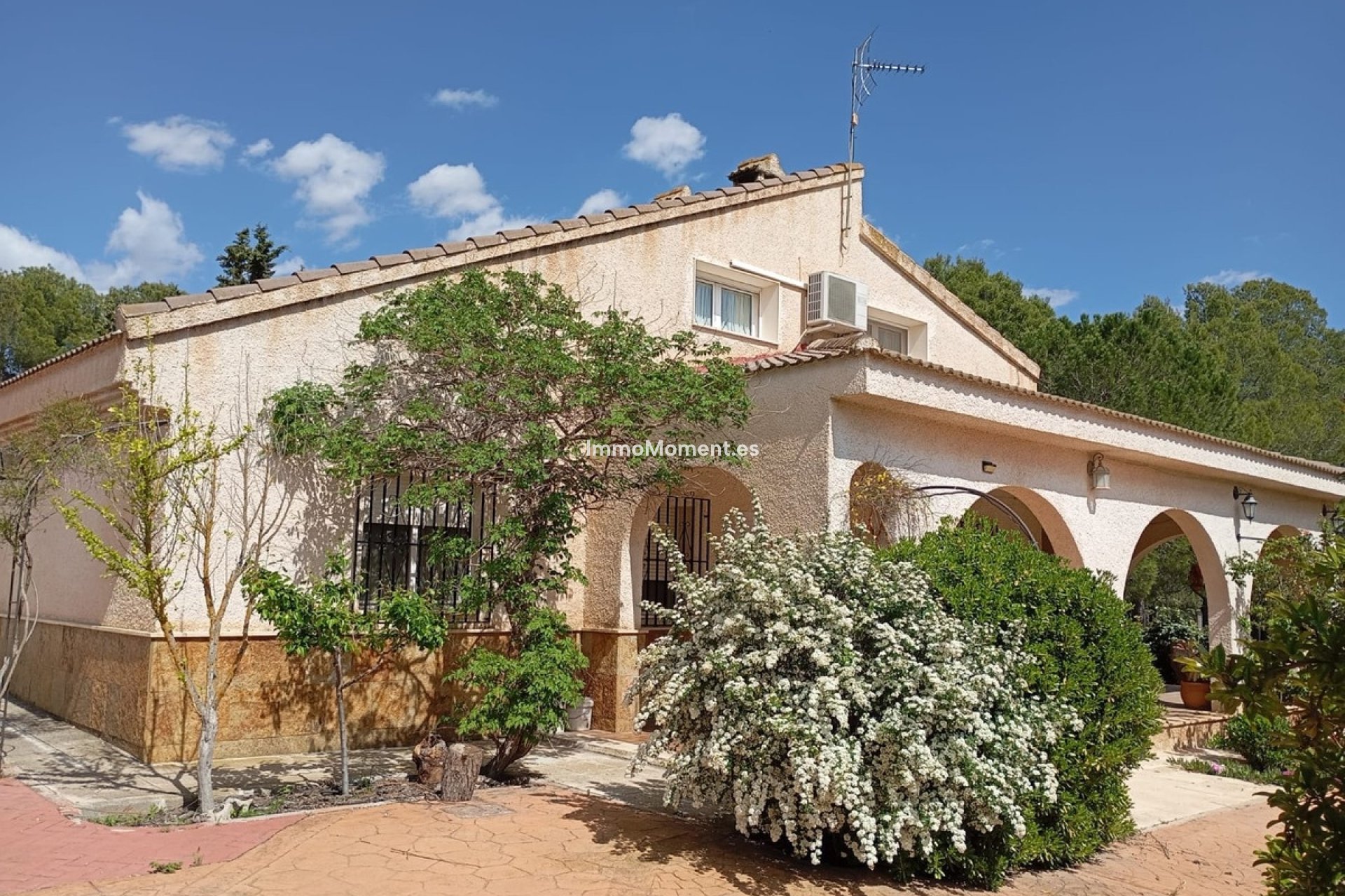 Resale - Detached villa - Yecla - Yecla Centro