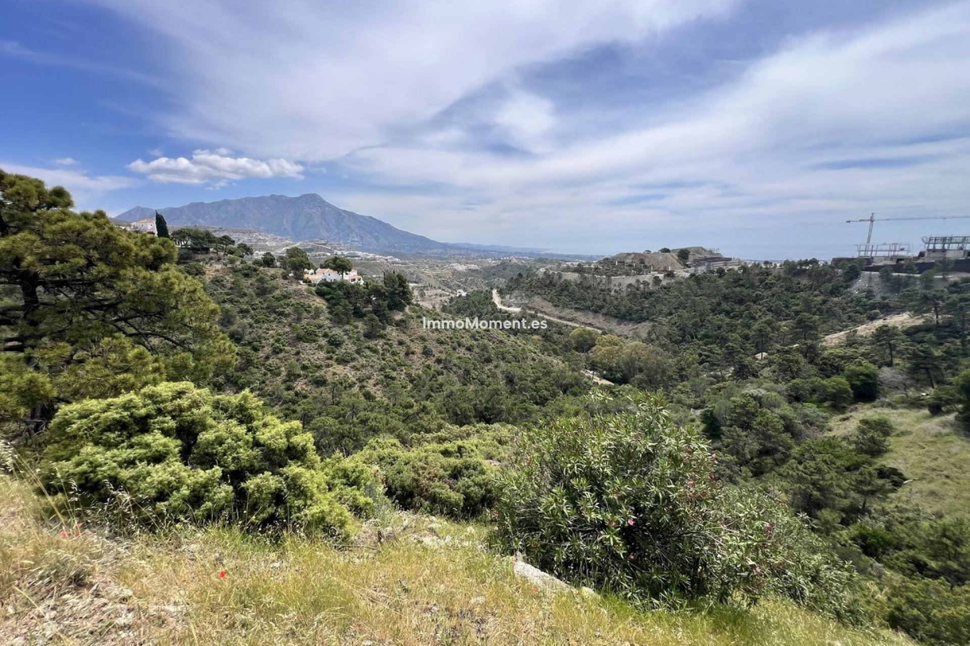 Resale - Land - Benahavís - El Madroñal